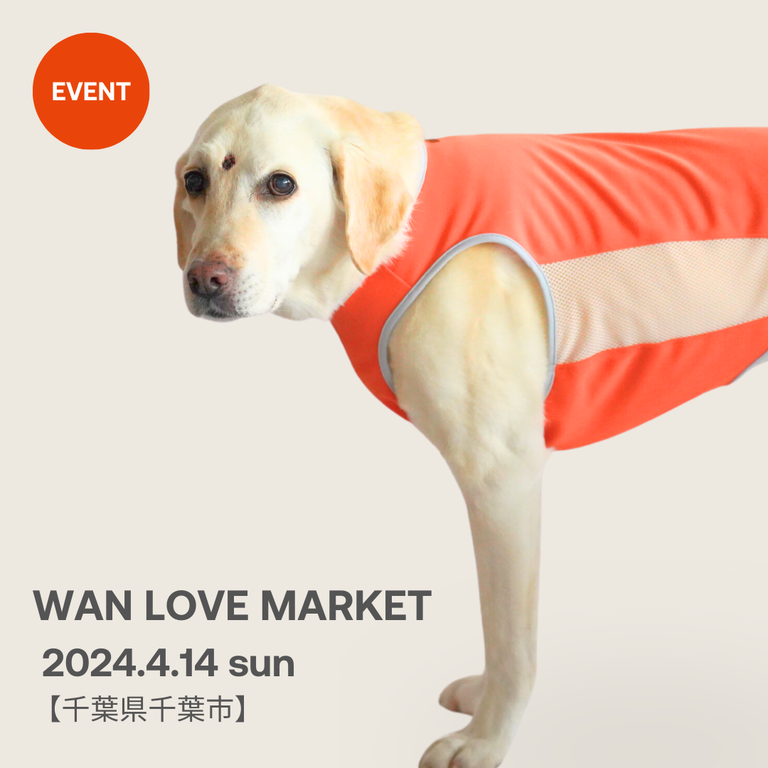 WAN LOVE MARKETイベント出店