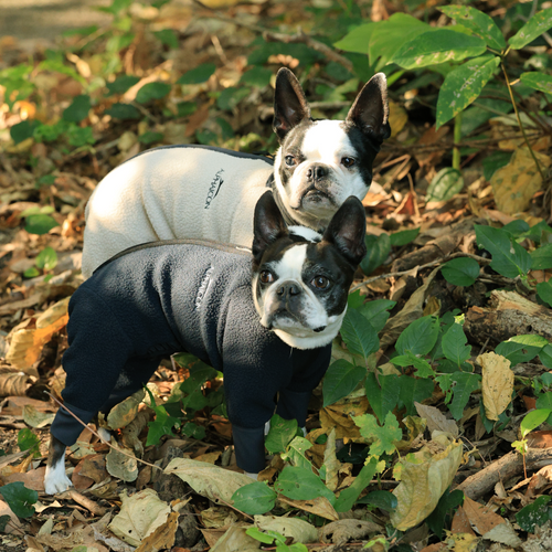 New product information] THERMAL FULL DOG ​​GUARD® released on 12/19