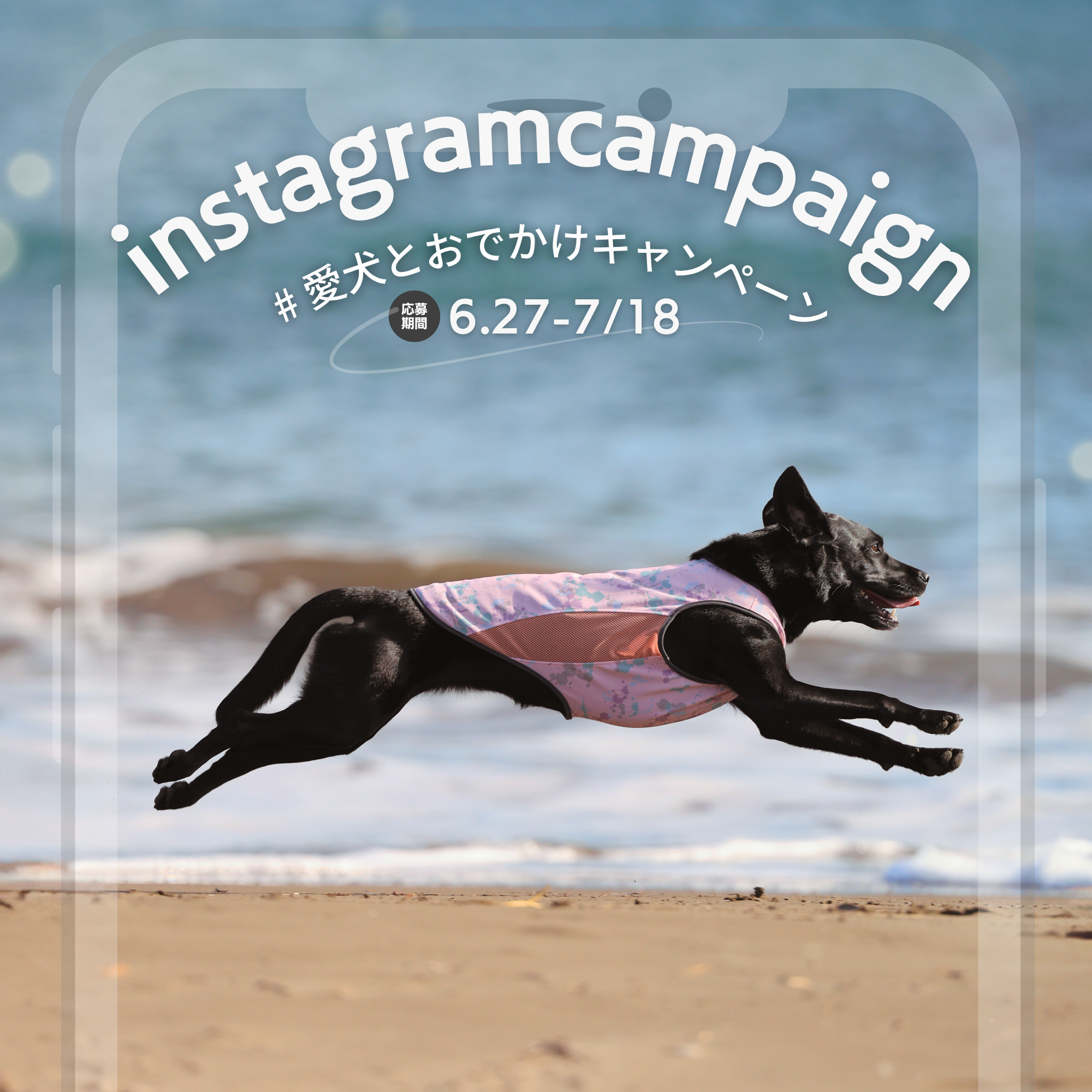 Instagram【愛犬とお出かけキャンペーン】開催