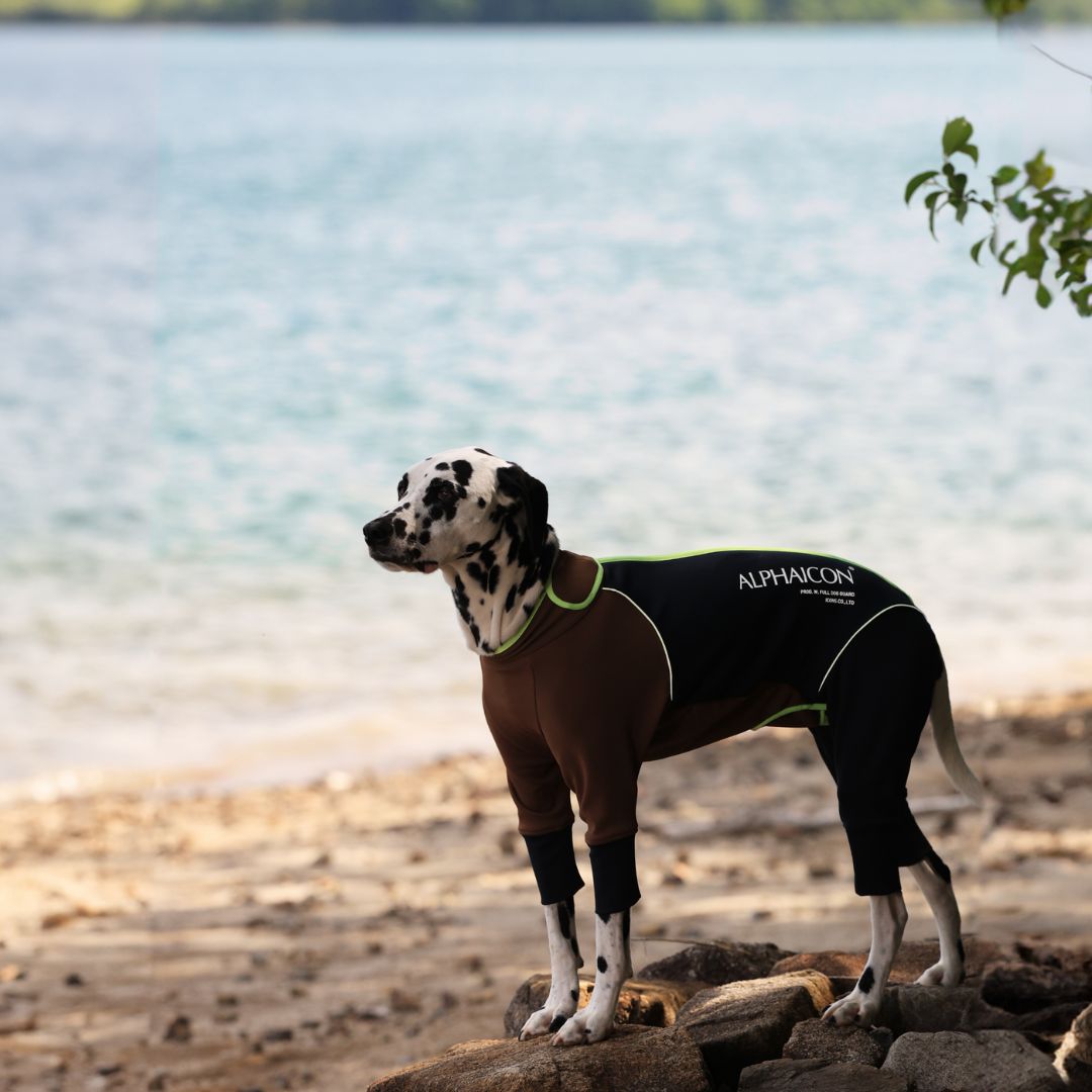 【新商品情報】W.FULL DOG GUARD®︎ 9/9発売