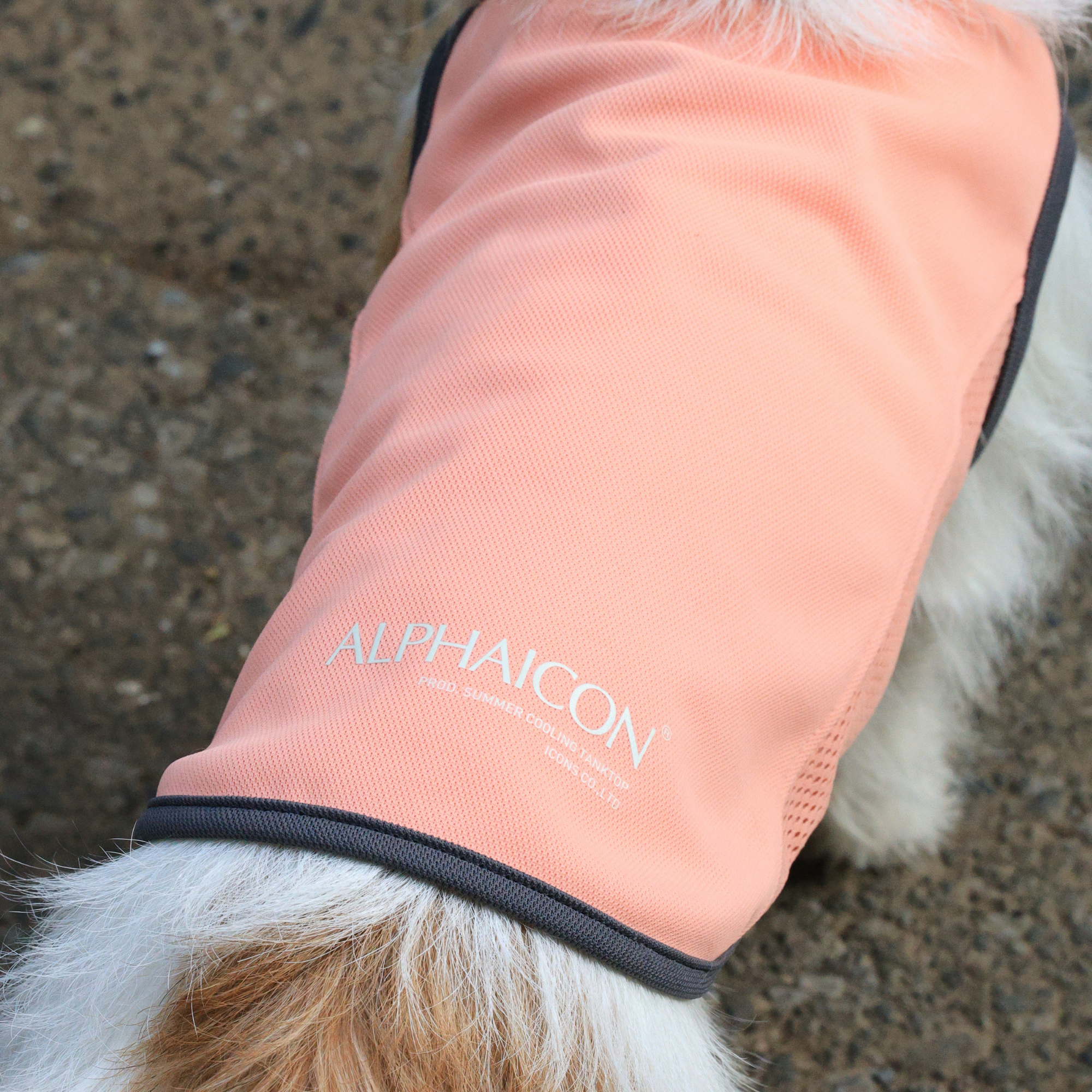 SUMMER COOLING TANKTOP サマークーリングタンクトップ MACARON
