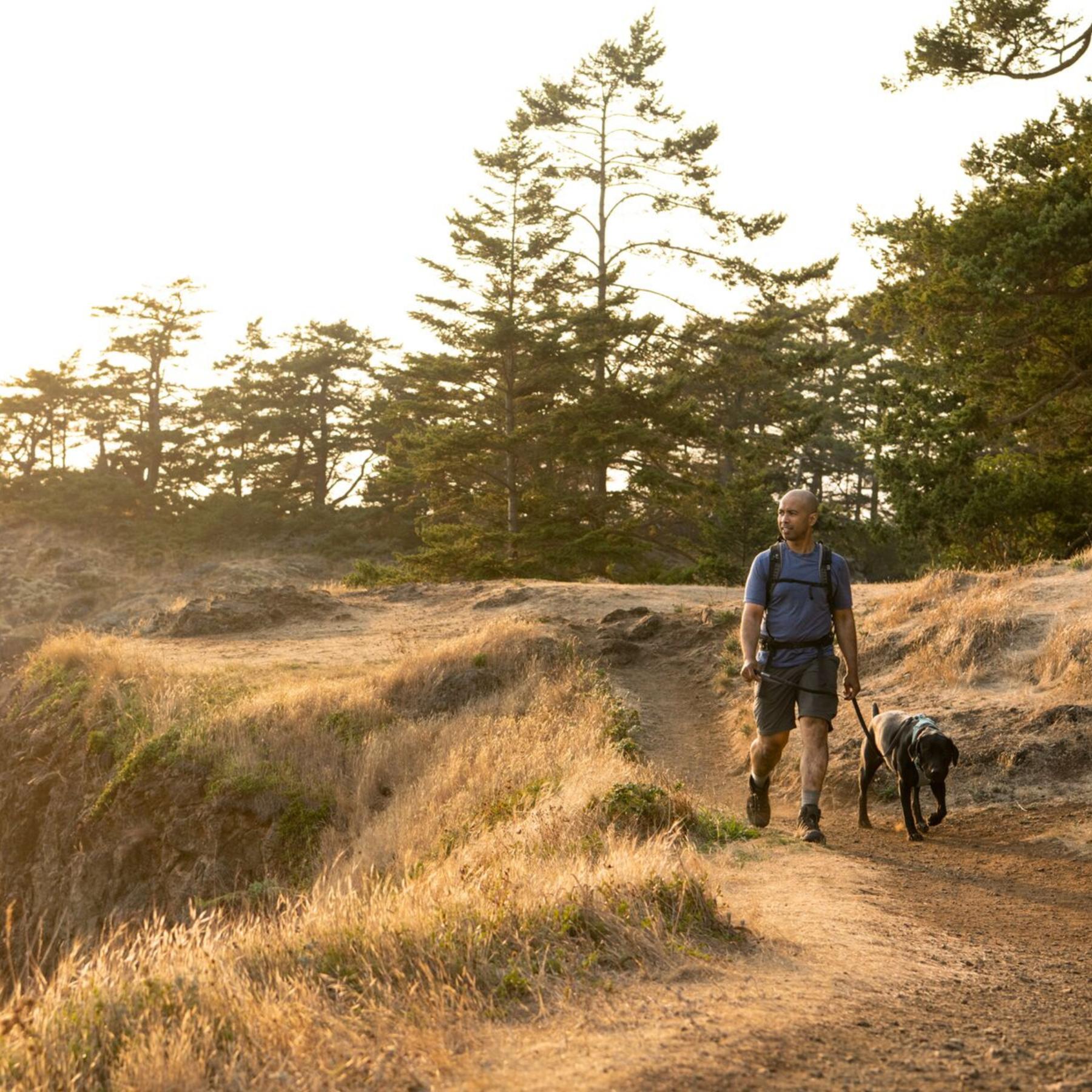 RUFFWEAR フロントレンジハーネス リバーロックグリーン