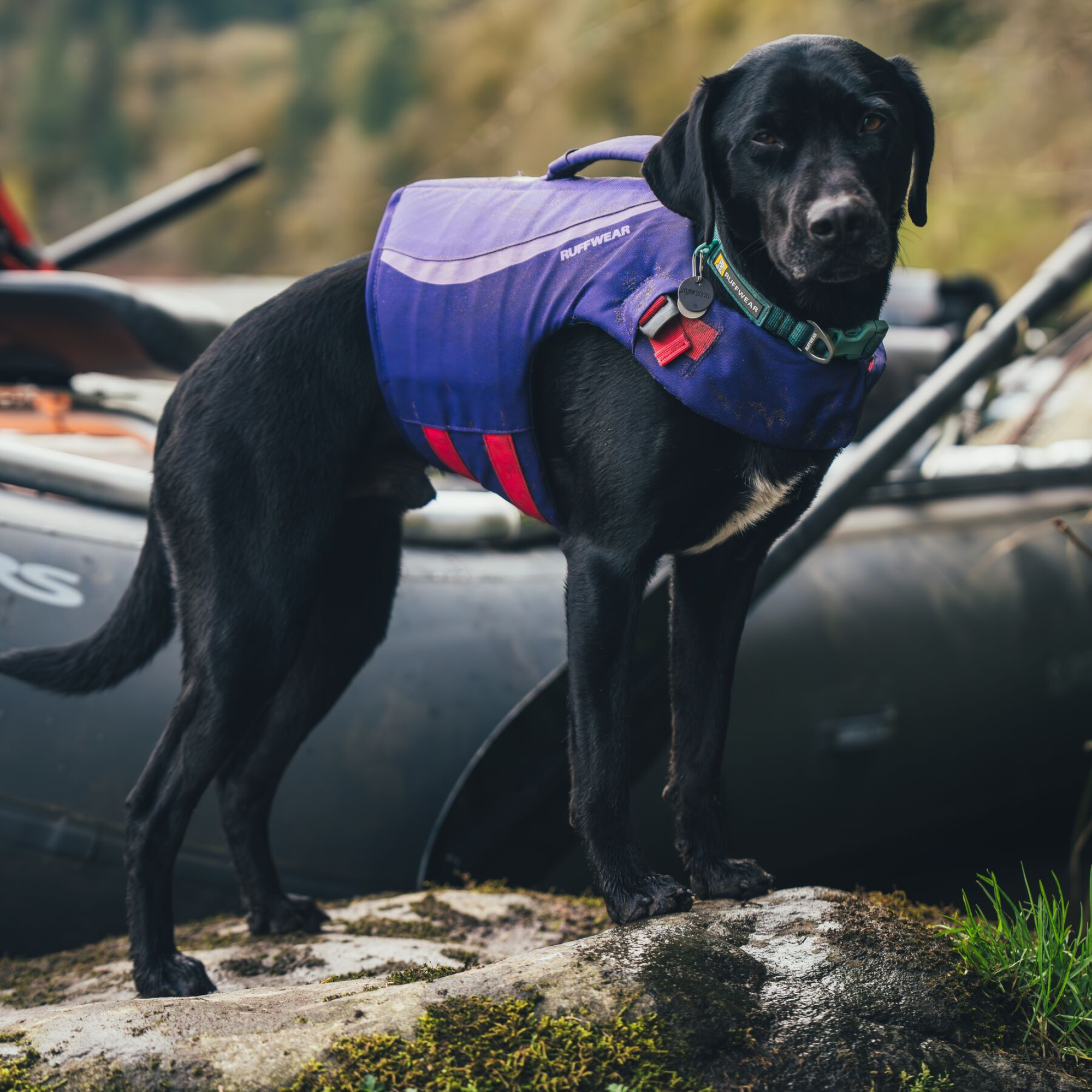 floatcort Life Jacket float coat life jacket WAOG