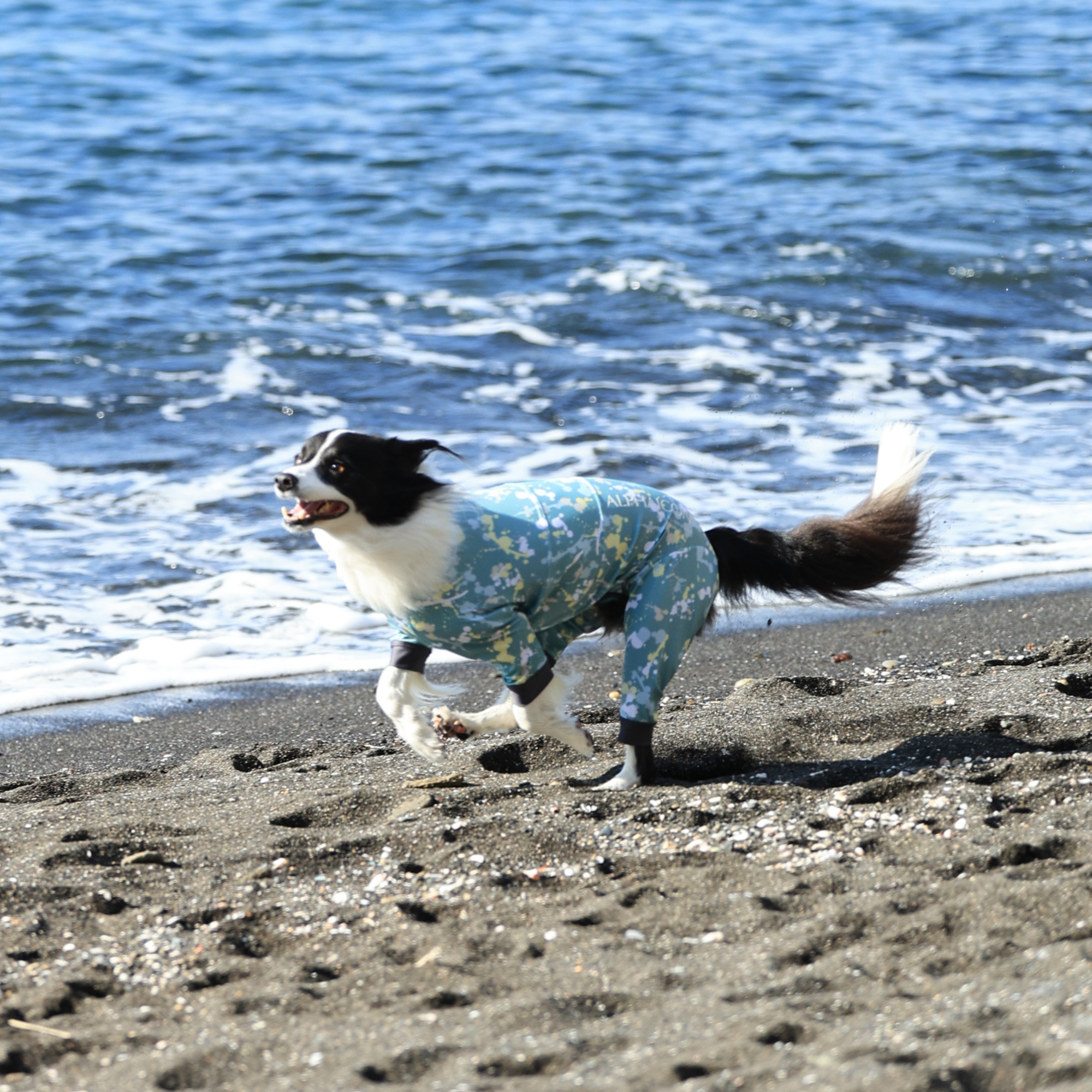 FULL DOG GUARD フルドッグガード EMERALD MIST