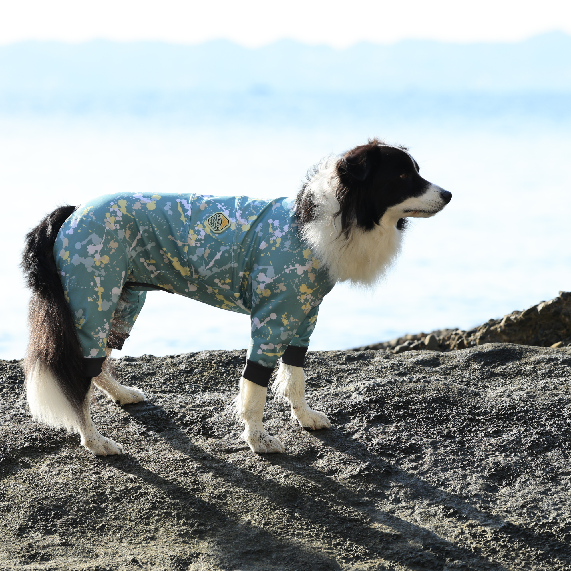 FULL DOG GUARD フルドッグガード EMERALD MIST