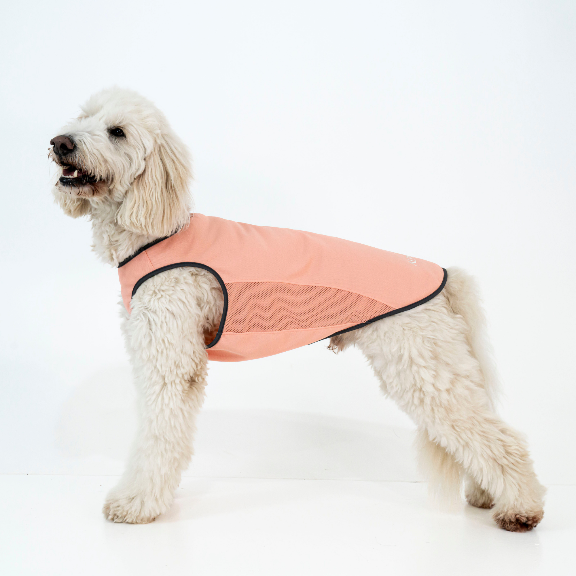 SUMMER COOLING TANKTOP サマークーリングタンクトップ MACARON