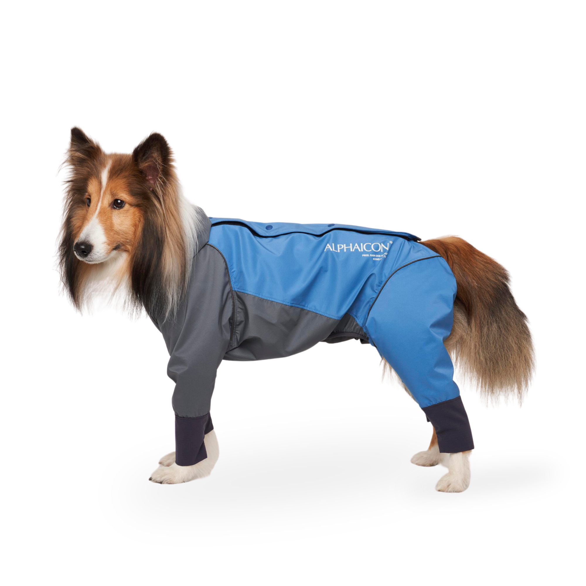 RAIN DOG GUARD レインドッグガード AQUA 2023年モデル