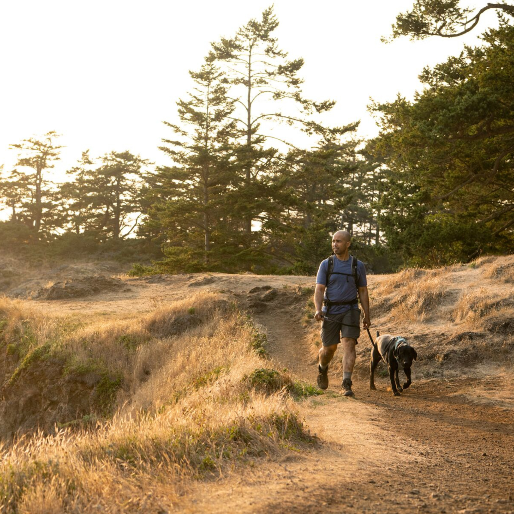 RUFFWEAR　フロントレンジリーシュ　BSGY　バサルトグレイ