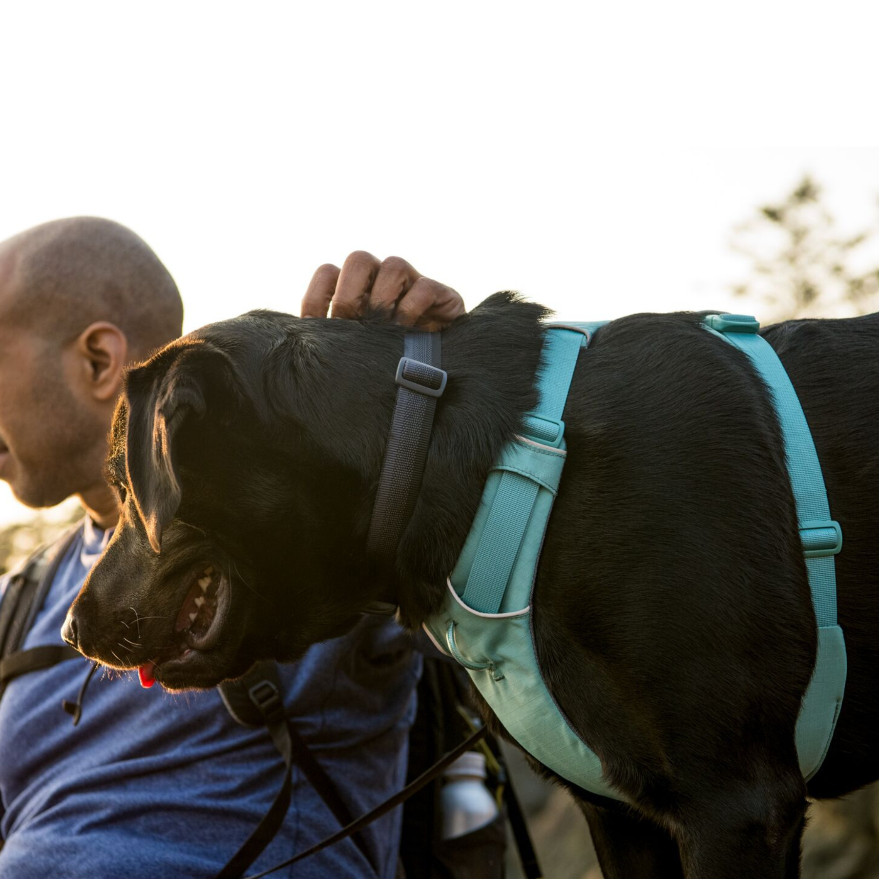 RUFFWEAR Front Range Color BLPL Blue Pool
