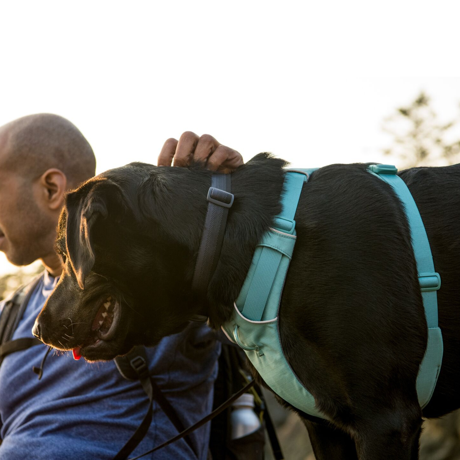 RUFFWEAR　フロントレンジカラー　BLPL　ブループール