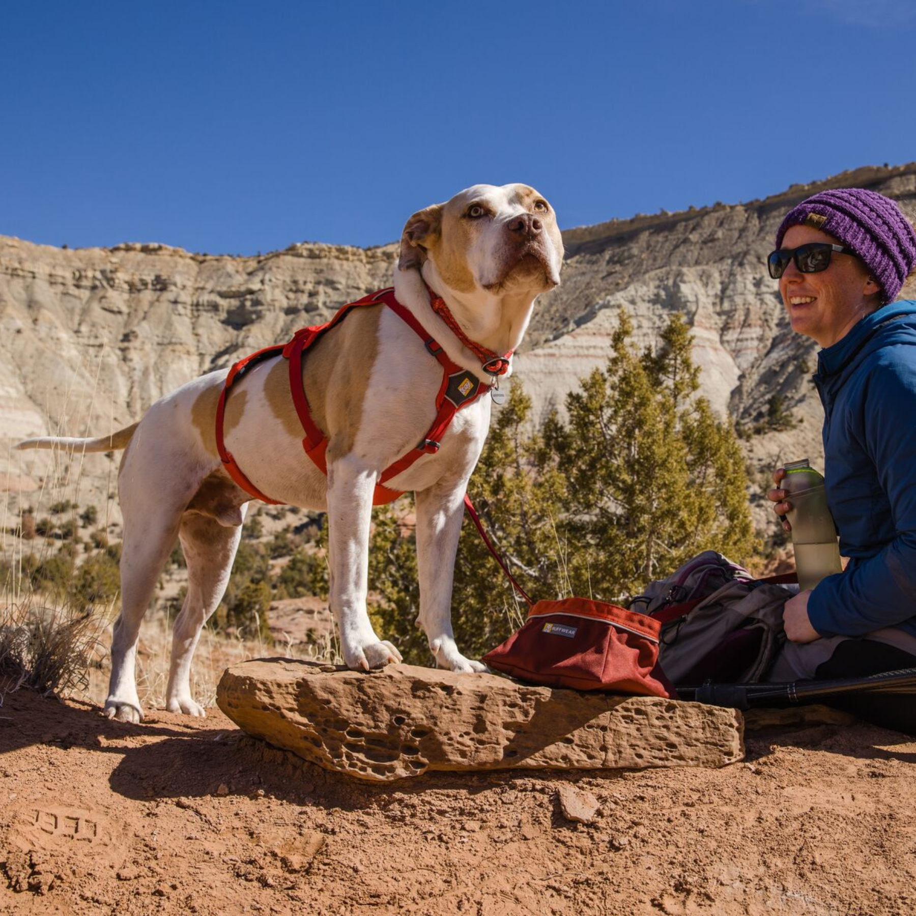 RUFFWEAR ウェブマスターハーネス RDSMC レッドスマック