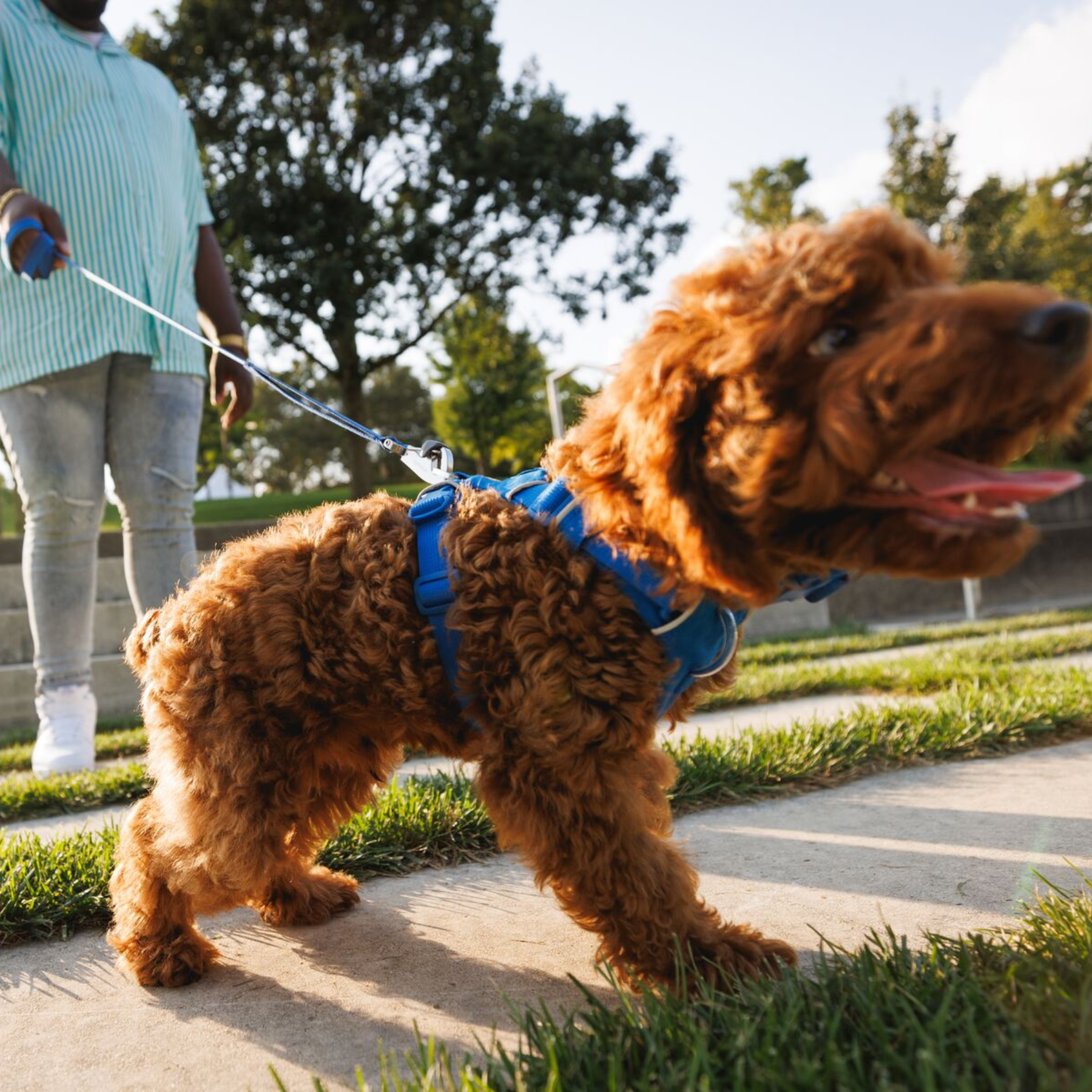 RUFFWEAR Front Range Leash BLPL Blue Pool