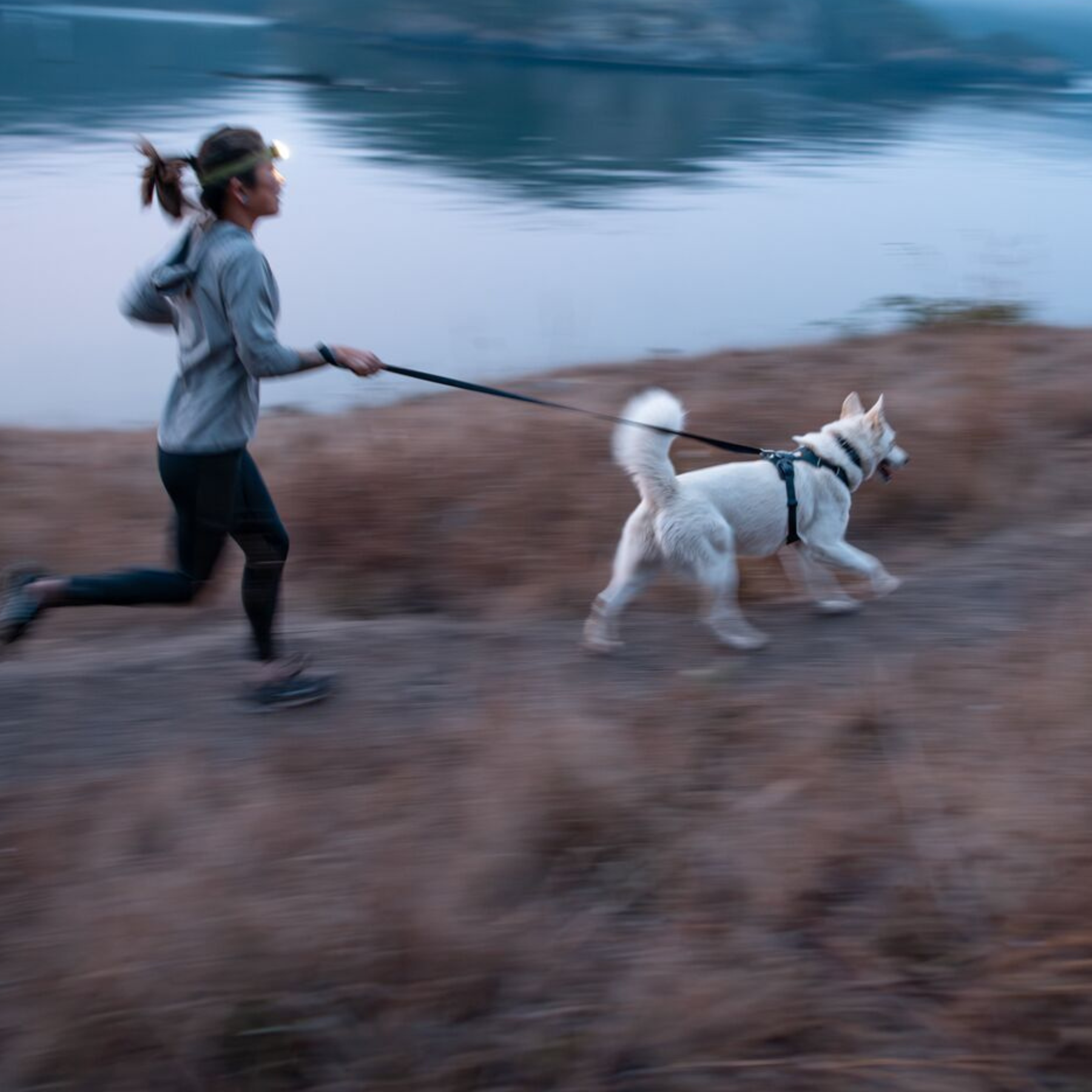 RUFFWEAR Front Range Leash BLPL Blue Pool
