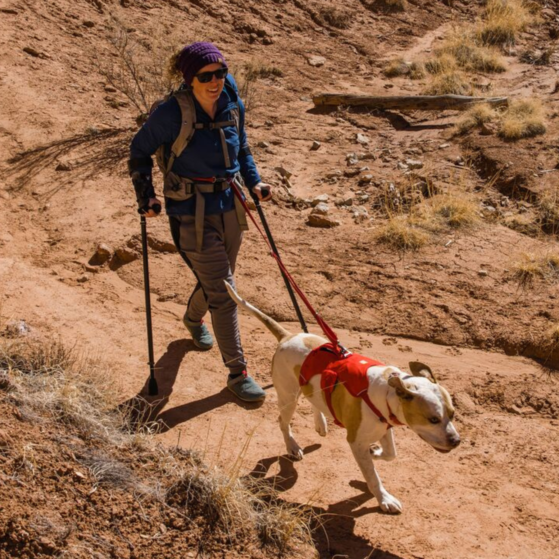 RUFFWEAR ウェブマスターハーネス RDSMC レッドスマック