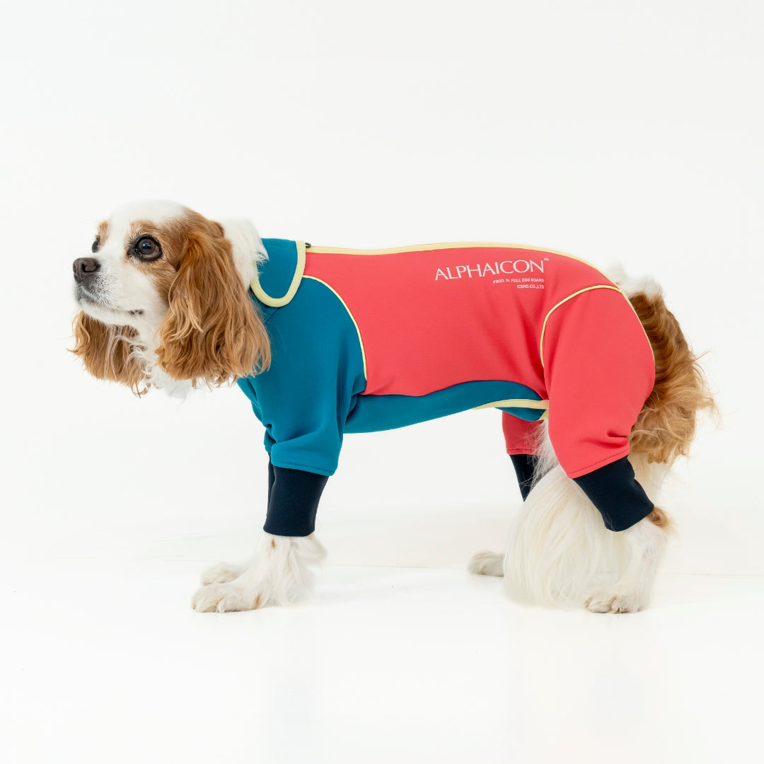 W.FULL DOG GUARD ダブルフルドッグガード RETRO SKI