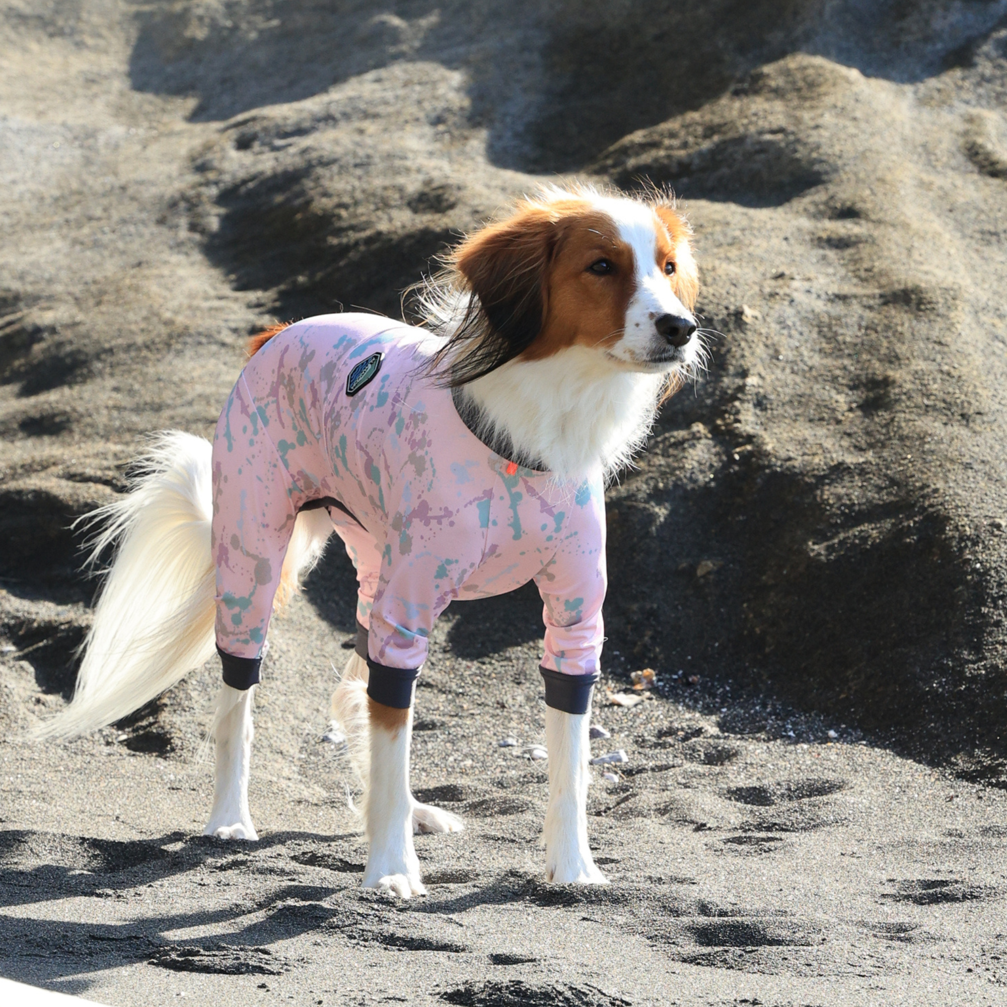FULL DOG GUARD フルドッグガード LAVENDER MIST