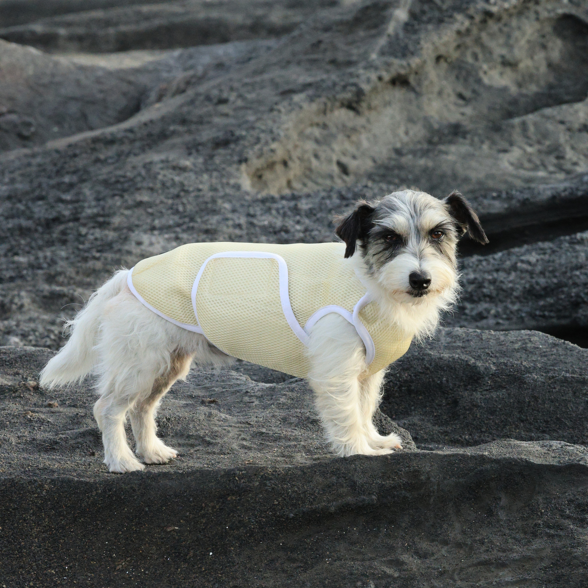 SUPER COOLING VEST スーパークーリングベスト DESERT