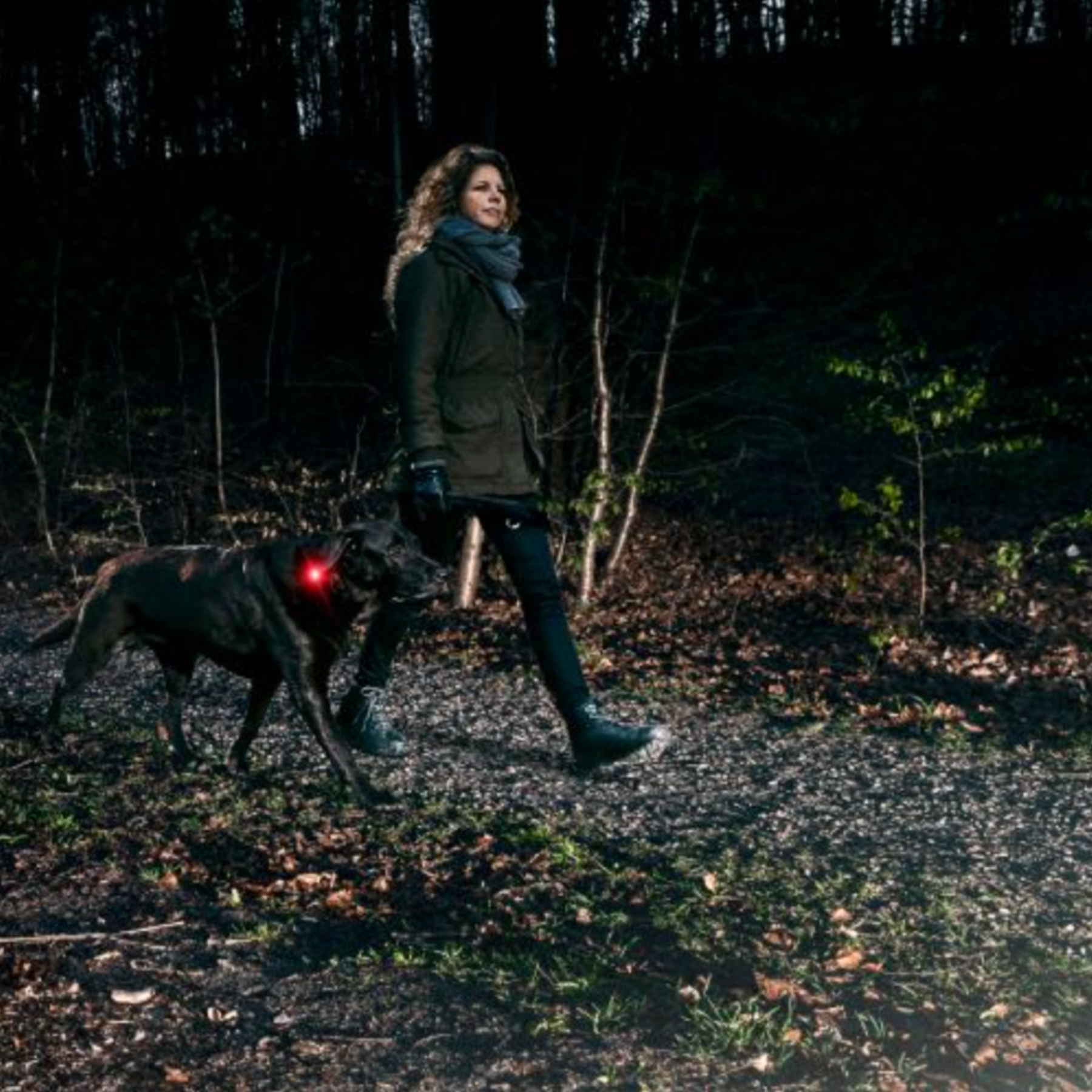 orbiloc Dog Dual Orbiloc Dog Dual Light Blue