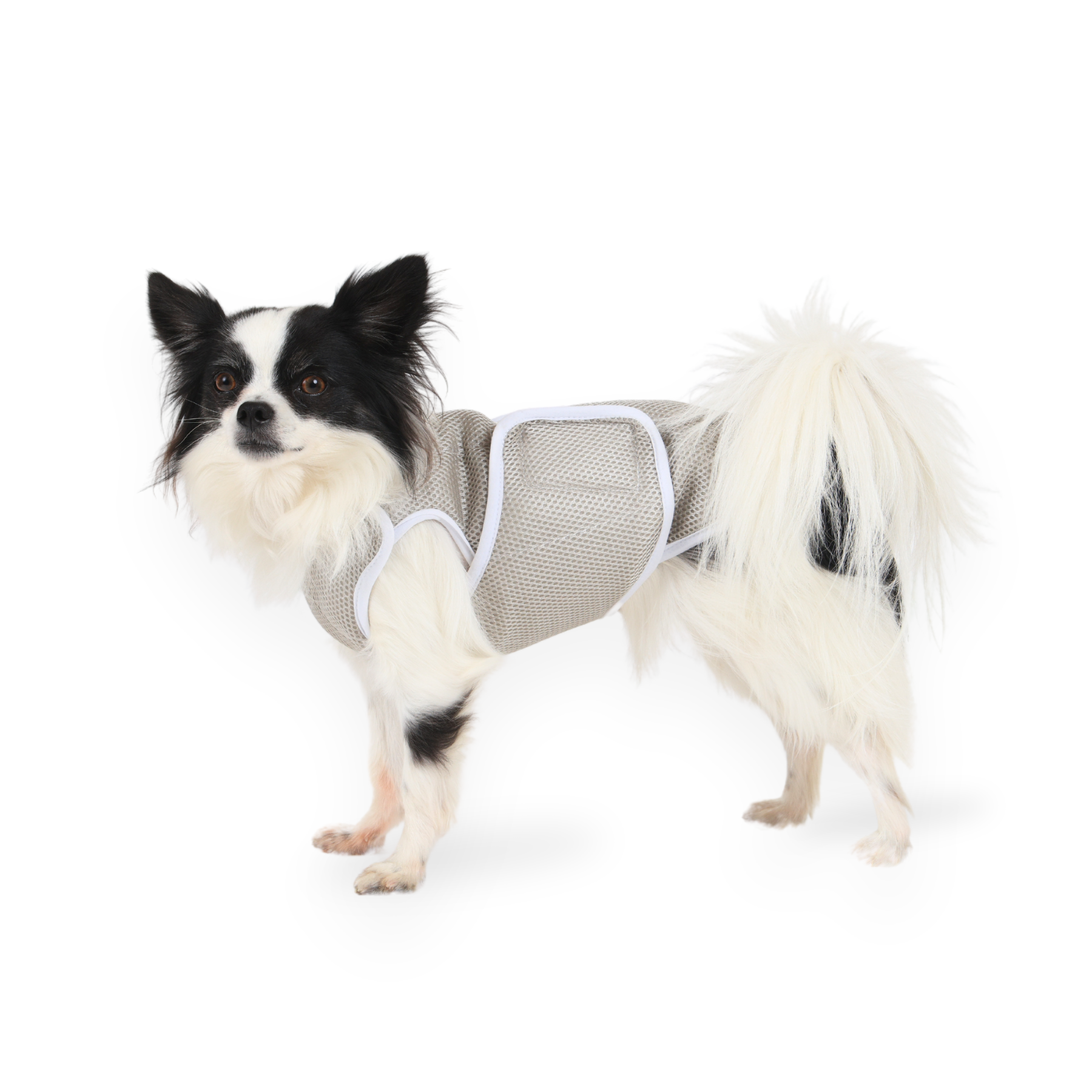 SUPER COOLING VEST スーパークーリングベスト 2024年モデル POLAR SILVER