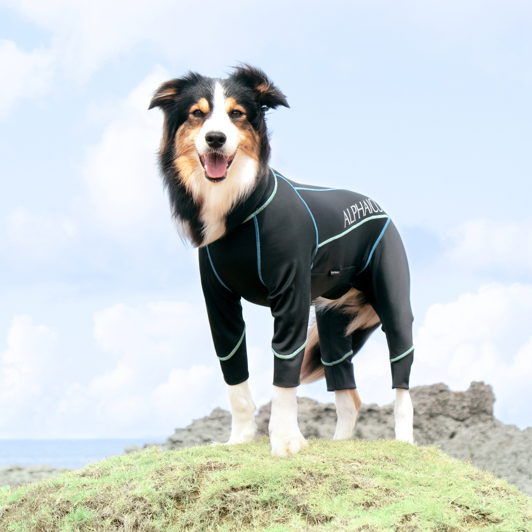 PHITEN DOGWEAR ファイテンドッグウェア
