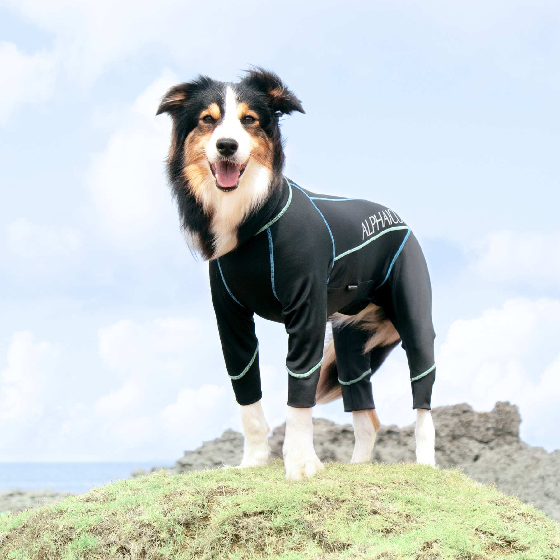 PHITEN DOGWEAR　ファイテンドッグウェア