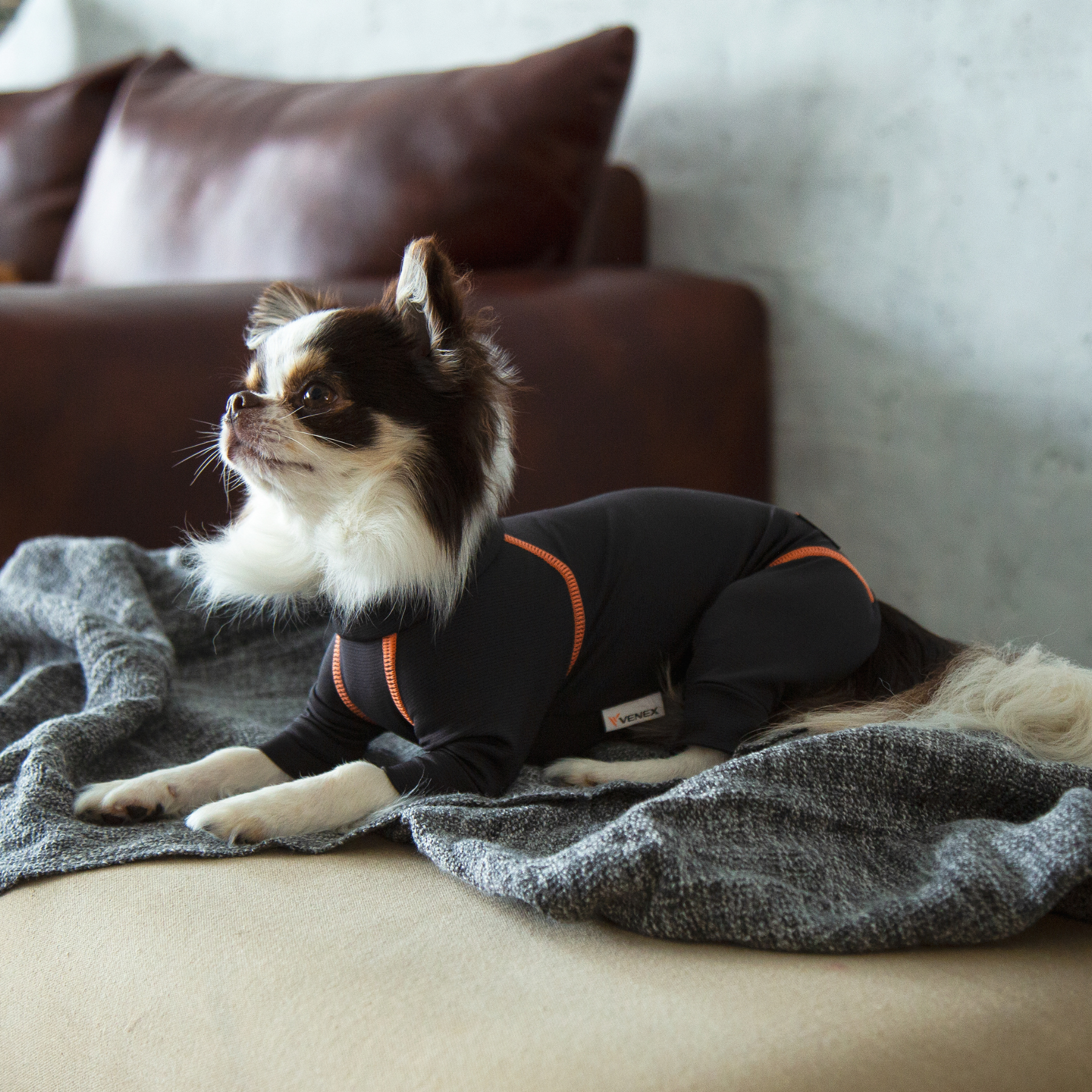 RECOVERY DOGWEAR リカバリードッグウェア
