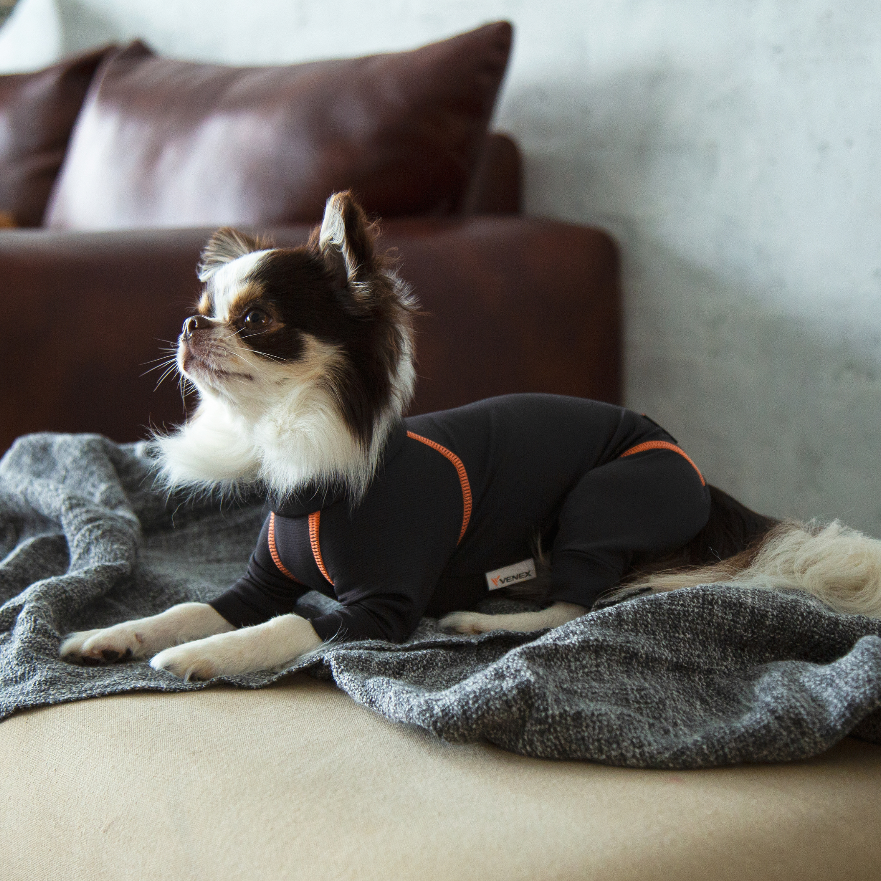 RECOVERY DOGWEAR　リカバリードッグウェア