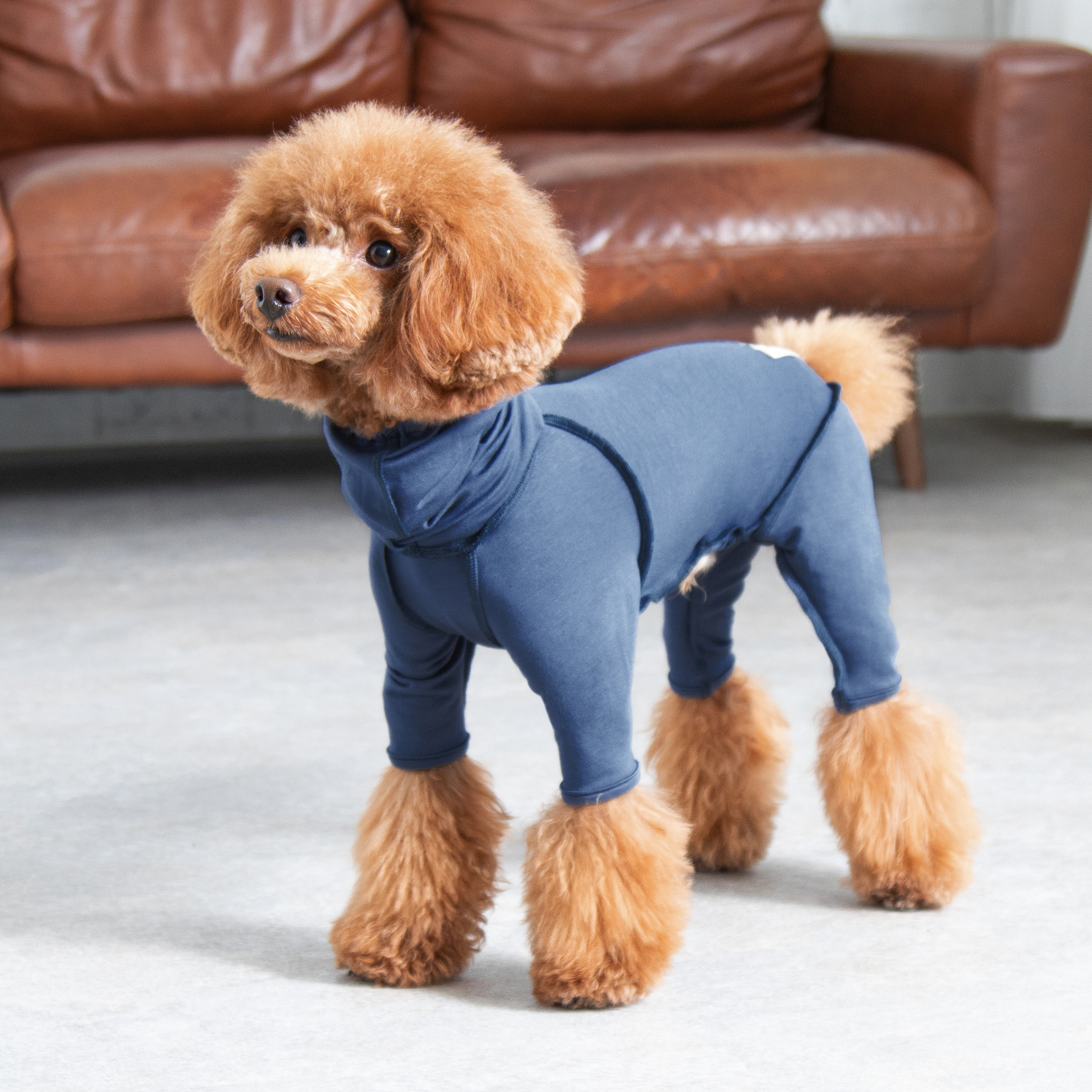 TAKEFU DOGWEAR　タケフドッグウェア　ブルー