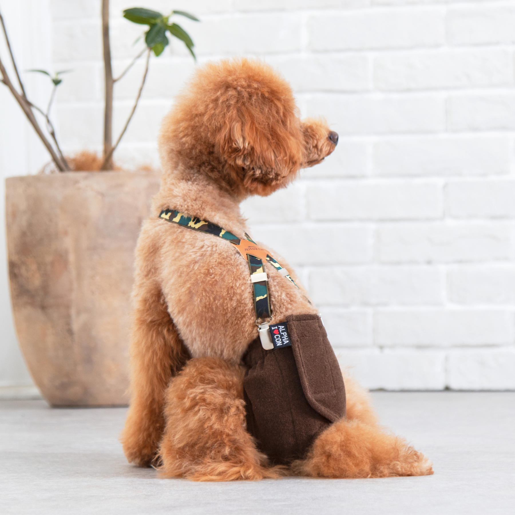 SUSPENDERS suspenders cafe au lait