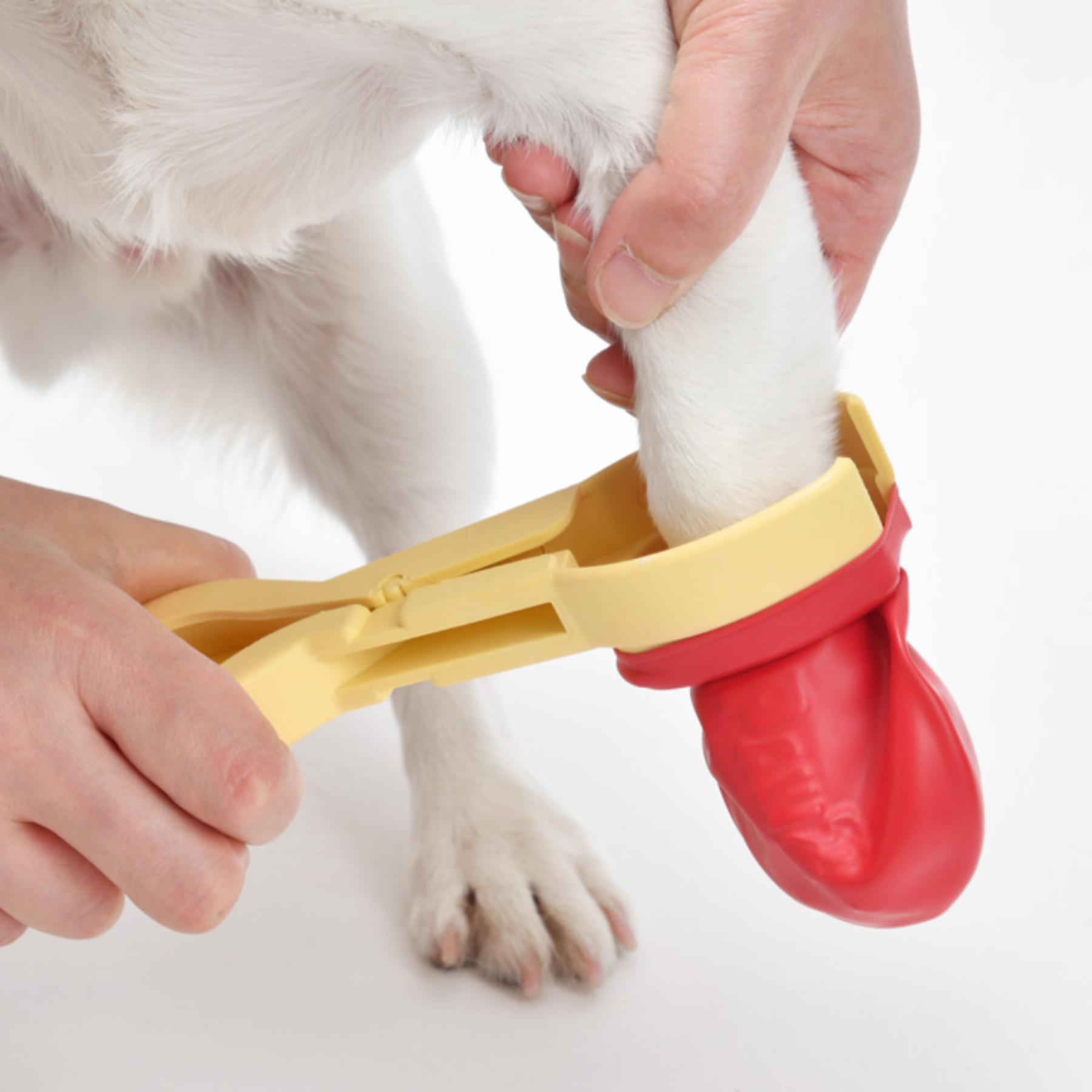 PAWS JAWZ