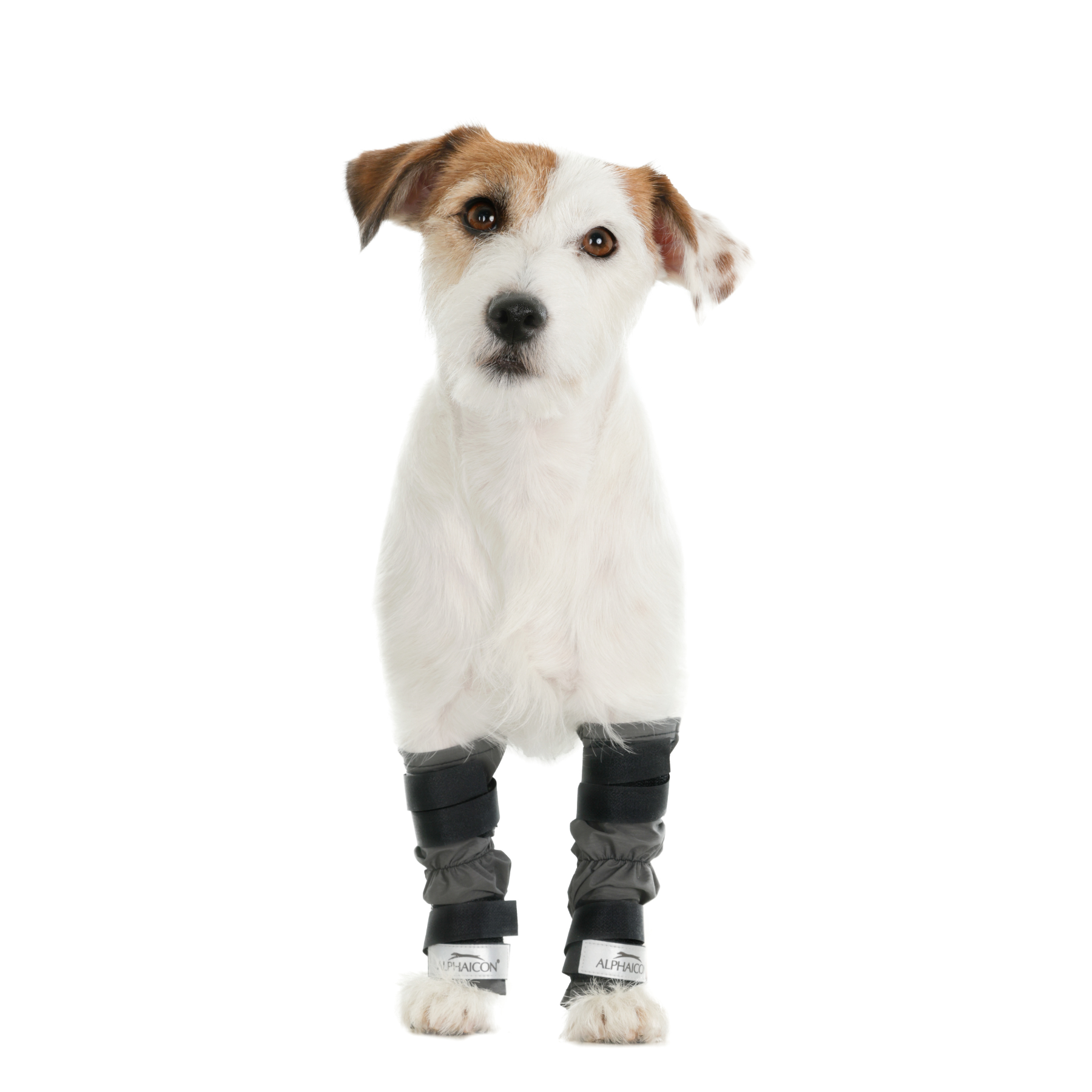 LEG GUARD レッグガード チャコール【1セット2足入り】