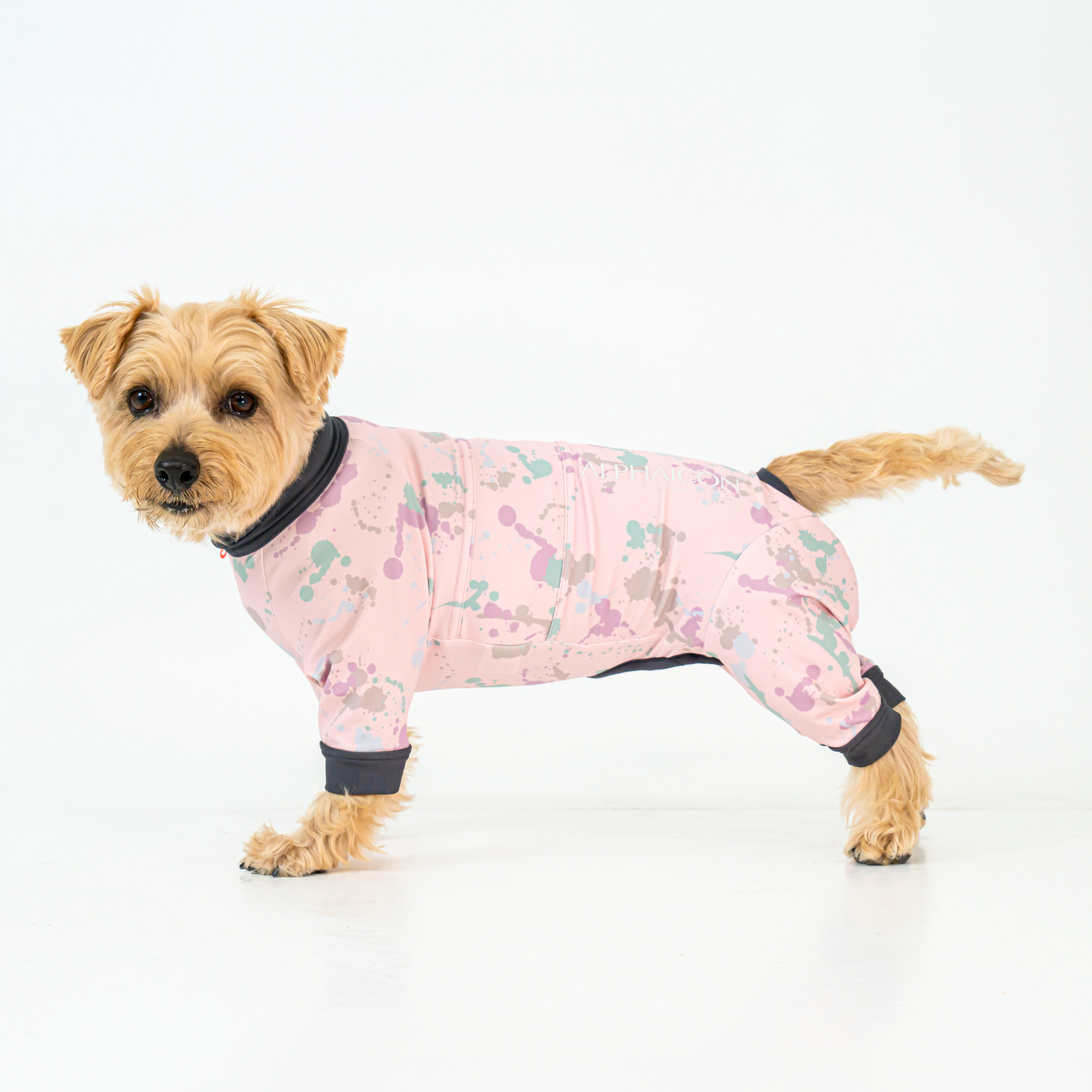 FULL DOG GUARD フルドッグガード LAVENDER MIST