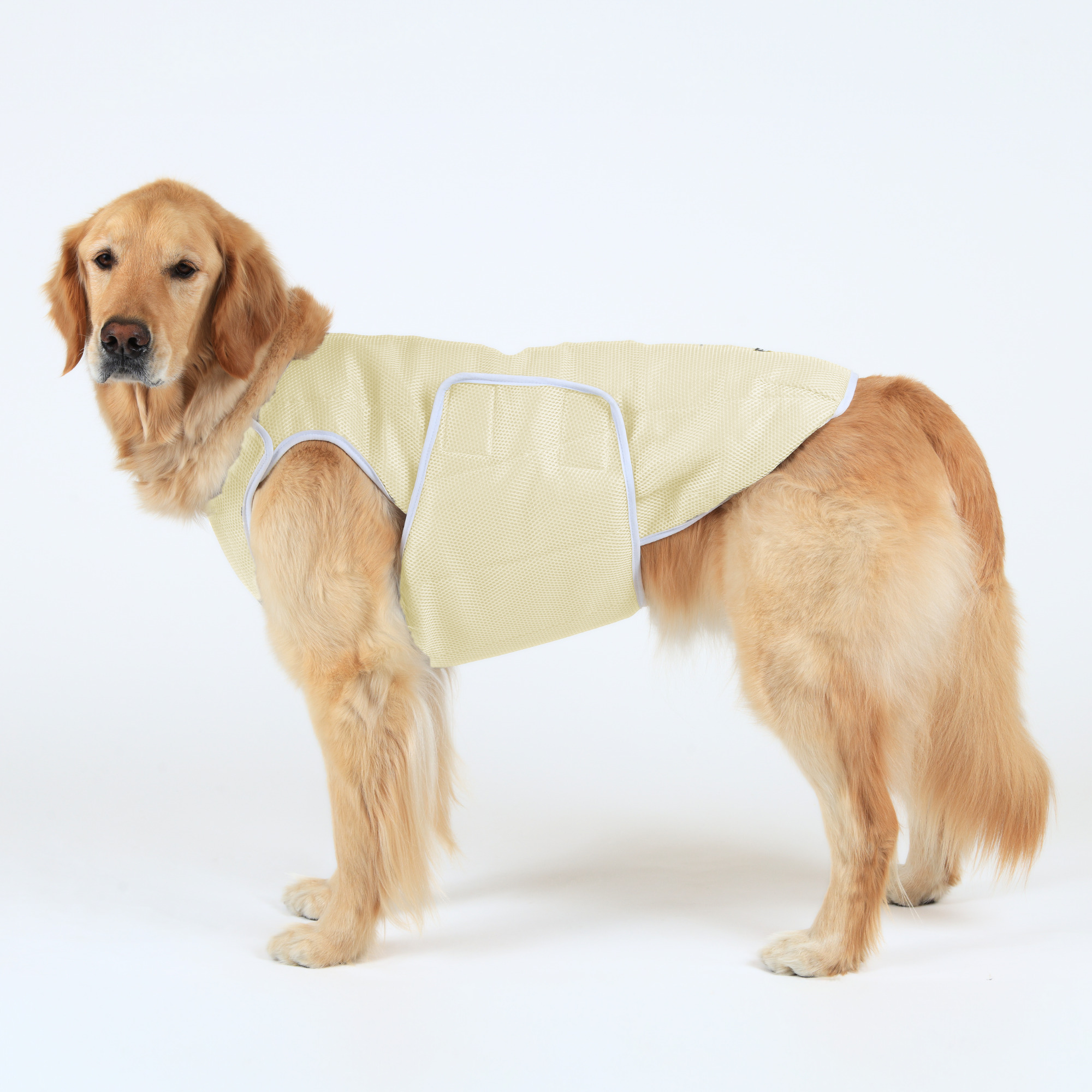 SUPER COOLING VEST スーパークーリングベスト DESERT