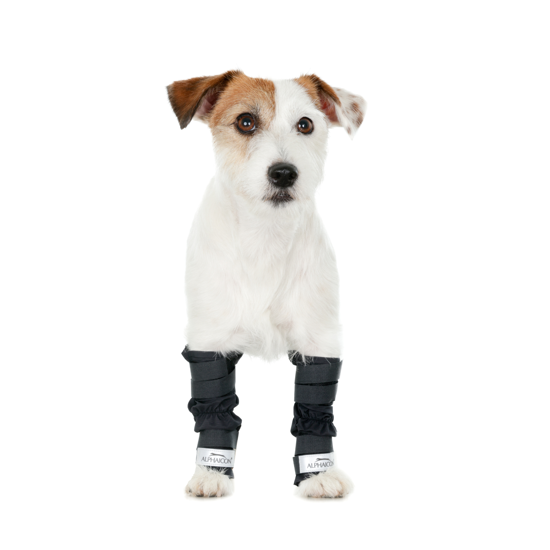 LEG GUARD レッグガード ブラック【1セット2足入り】