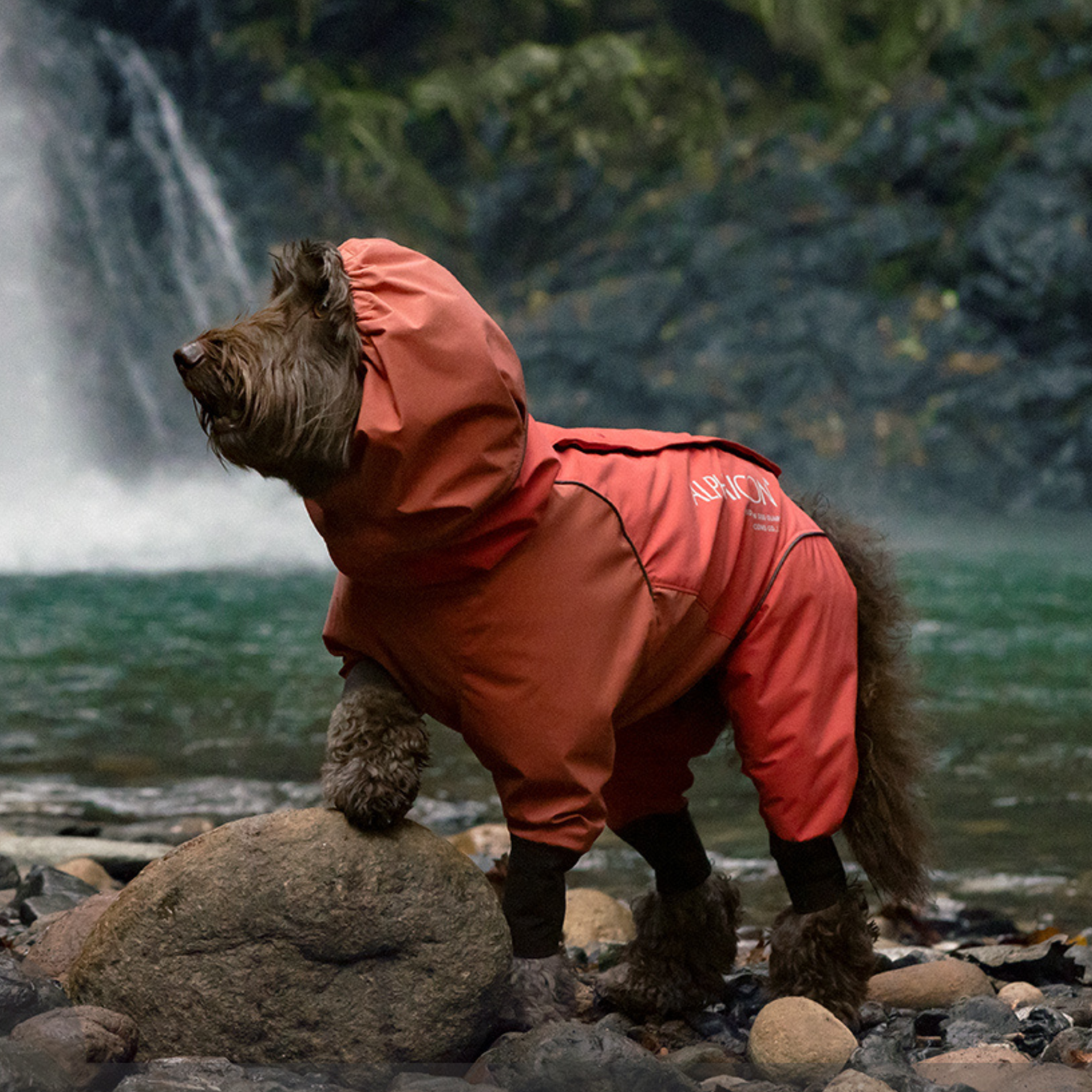 RAIN DOG GUARD レインドッグガード RUBY 2023年モデル