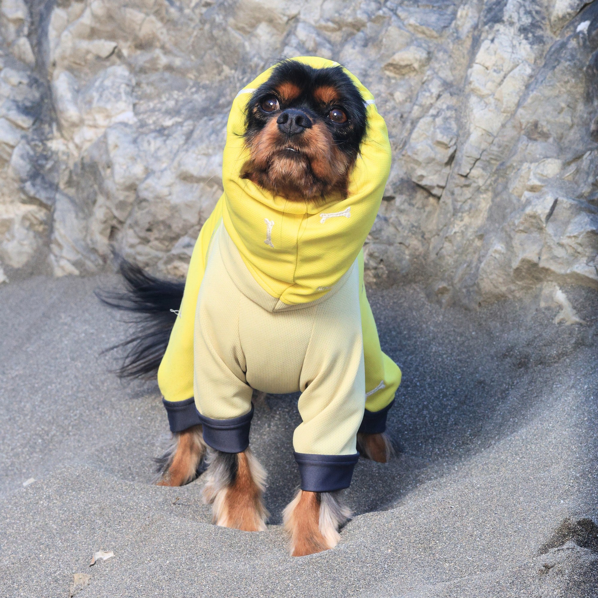 DOG GUARD COOL ドッグガードクール BANANA