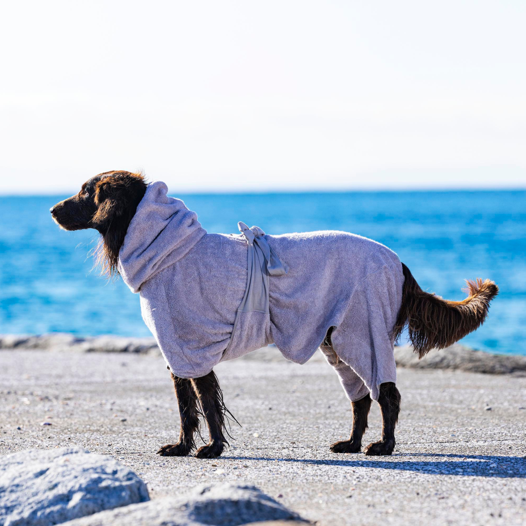 DOGGY ROBE ドギーローブ グレー