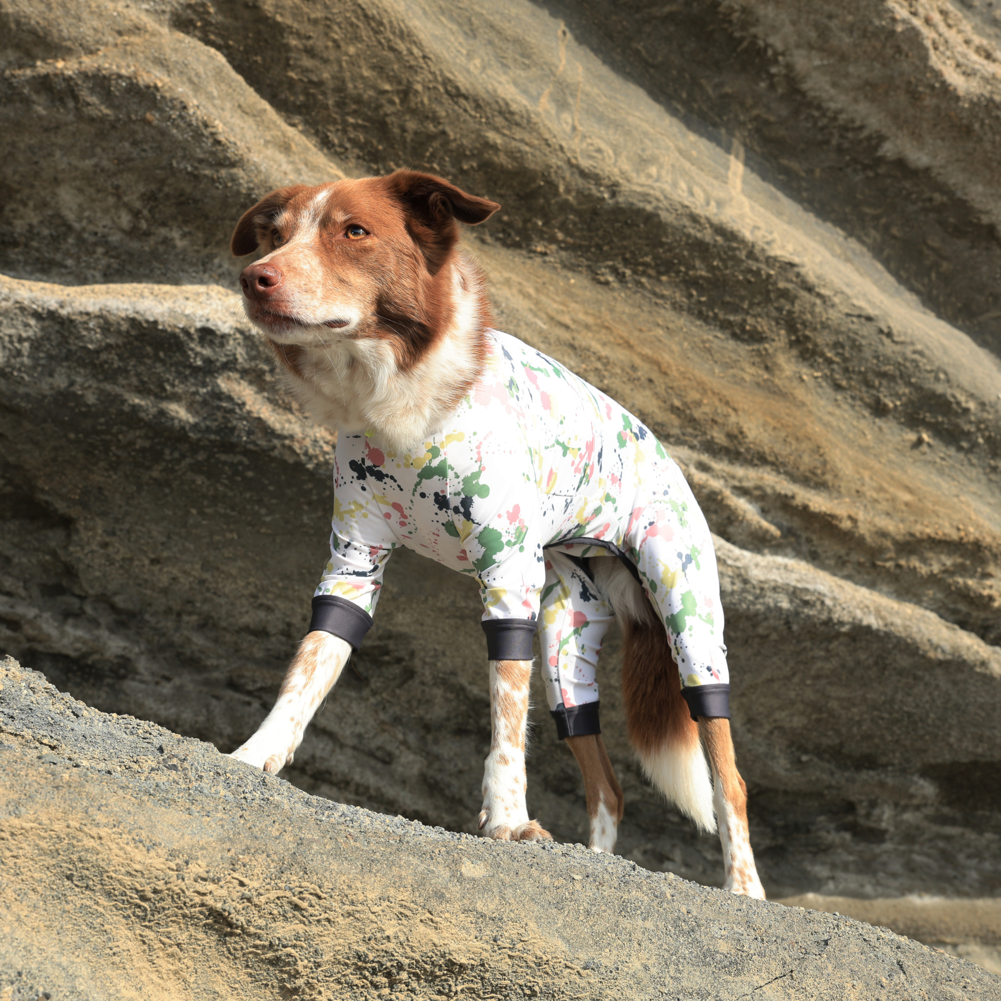 FULL DOG GUARD フルドッグガード VINTAGE MIST