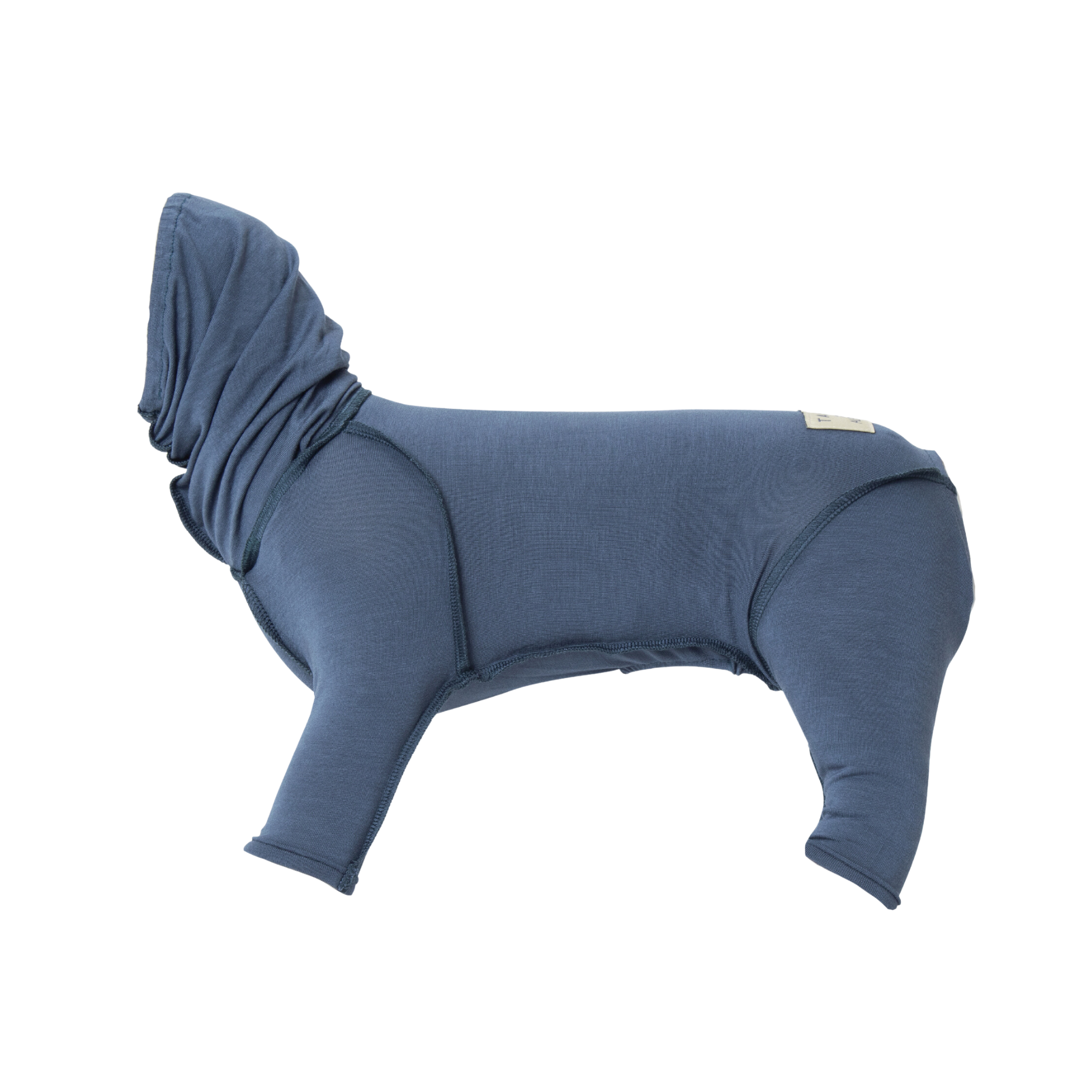 TAKEFU DOGWEAR タケフドッグウェア ブルー
