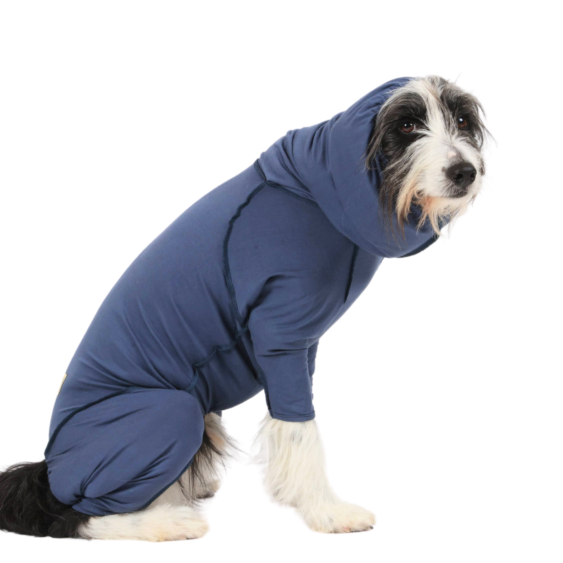 TAKEFU DOGWEAR タケフドッグウェア ブルー