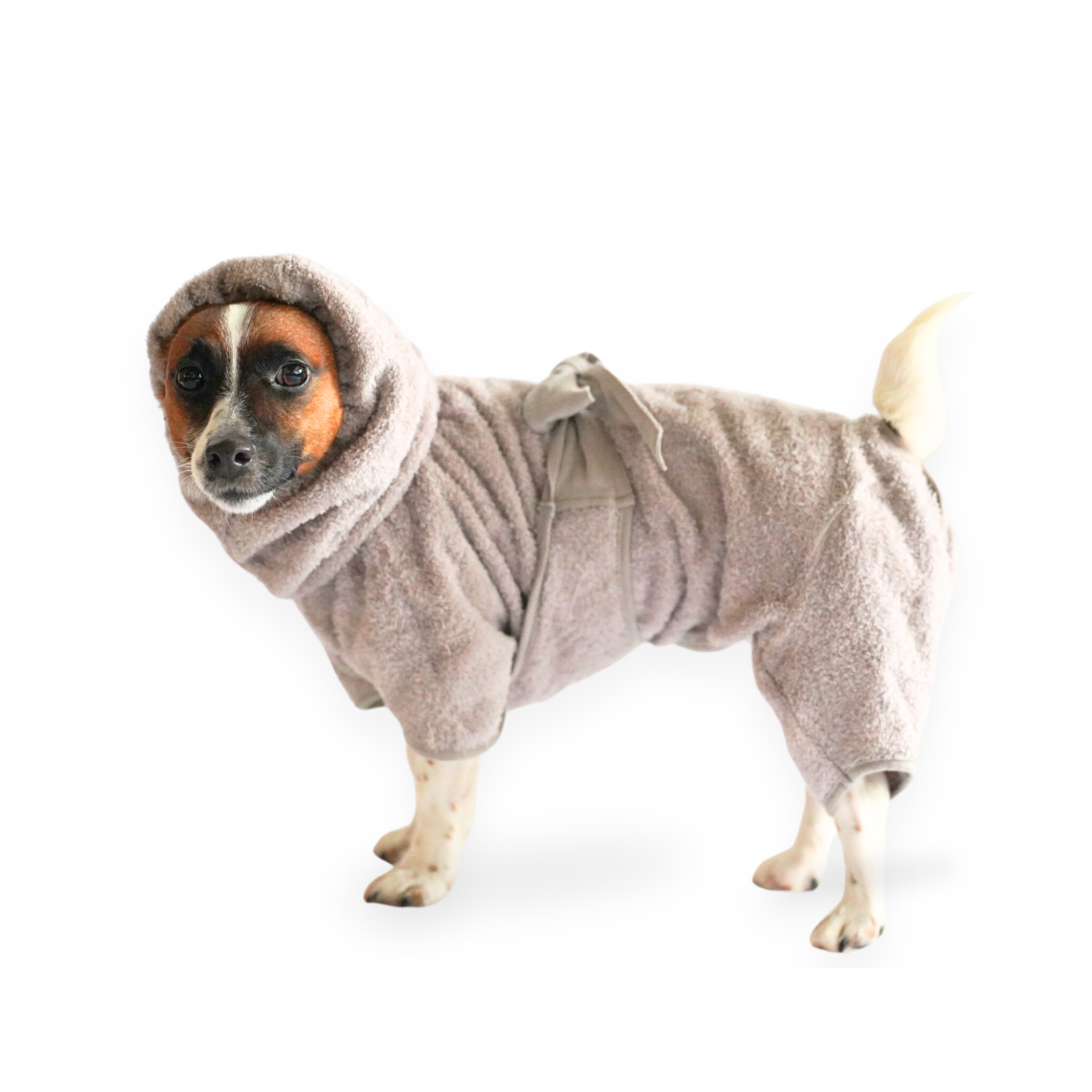 DOGGY ROBE ドギーローブ グレー