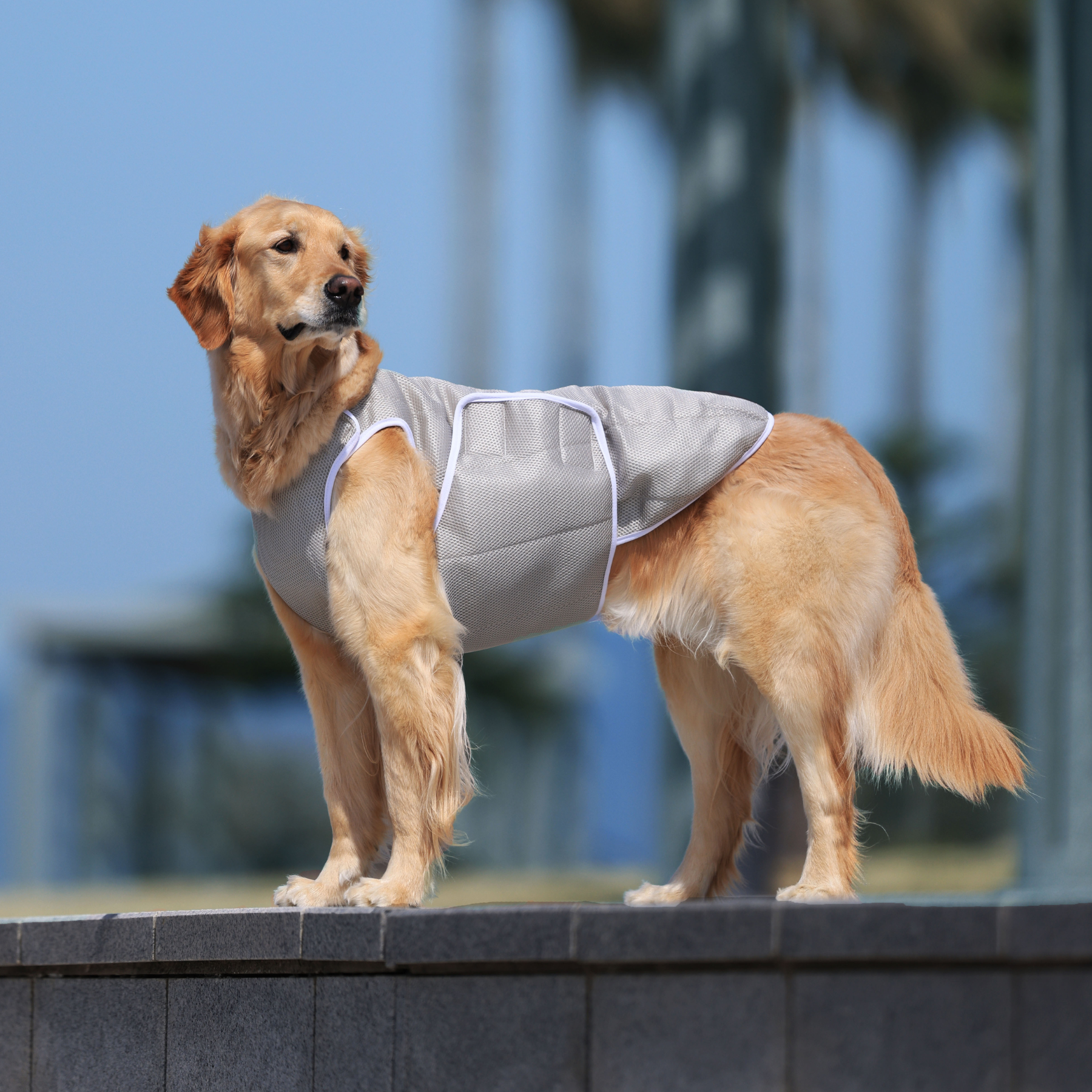 SUPER COOLING VEST スーパークーリングベスト 2024年モデル POLAR SILVER