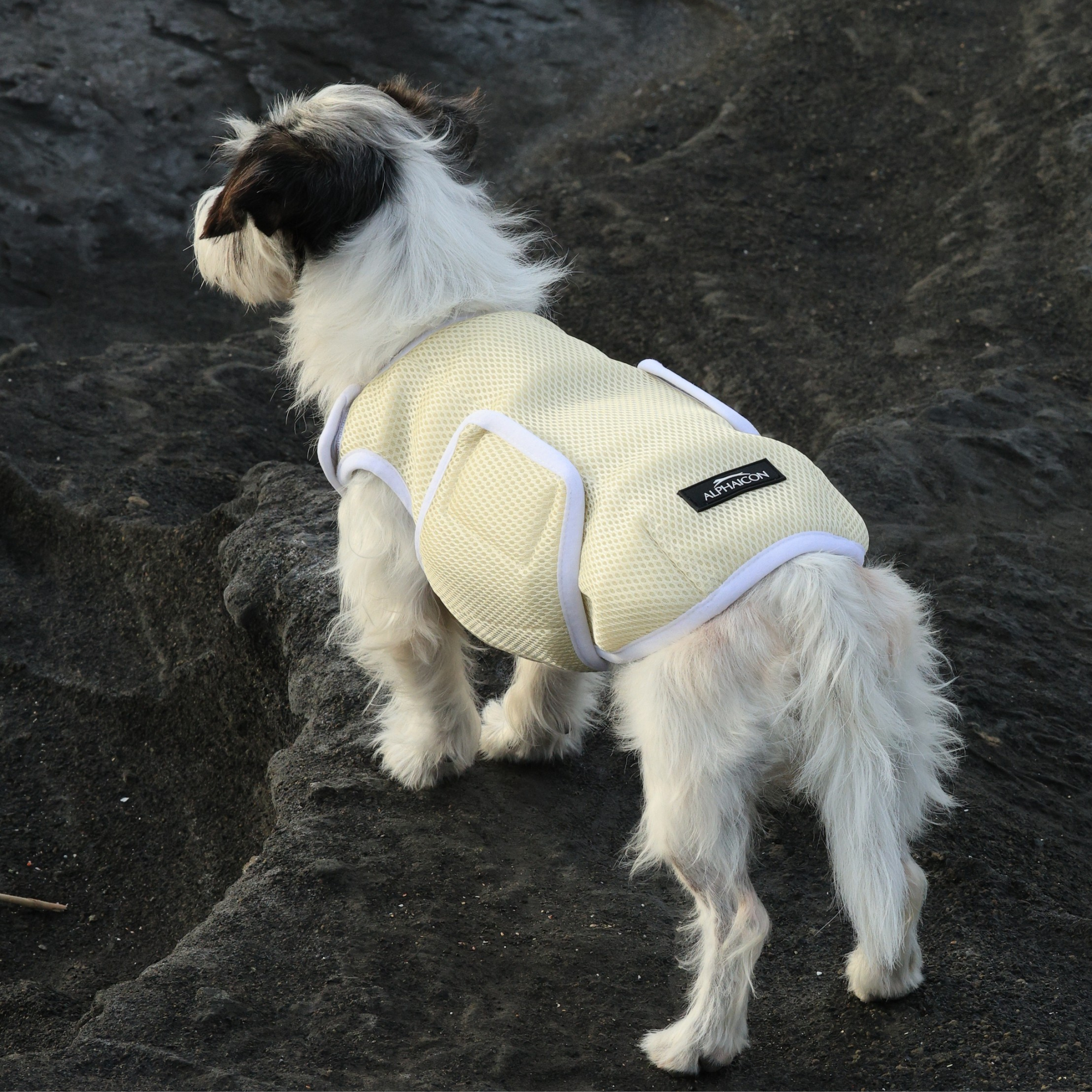 SUPER COOLING VEST スーパークーリングベスト DESERT