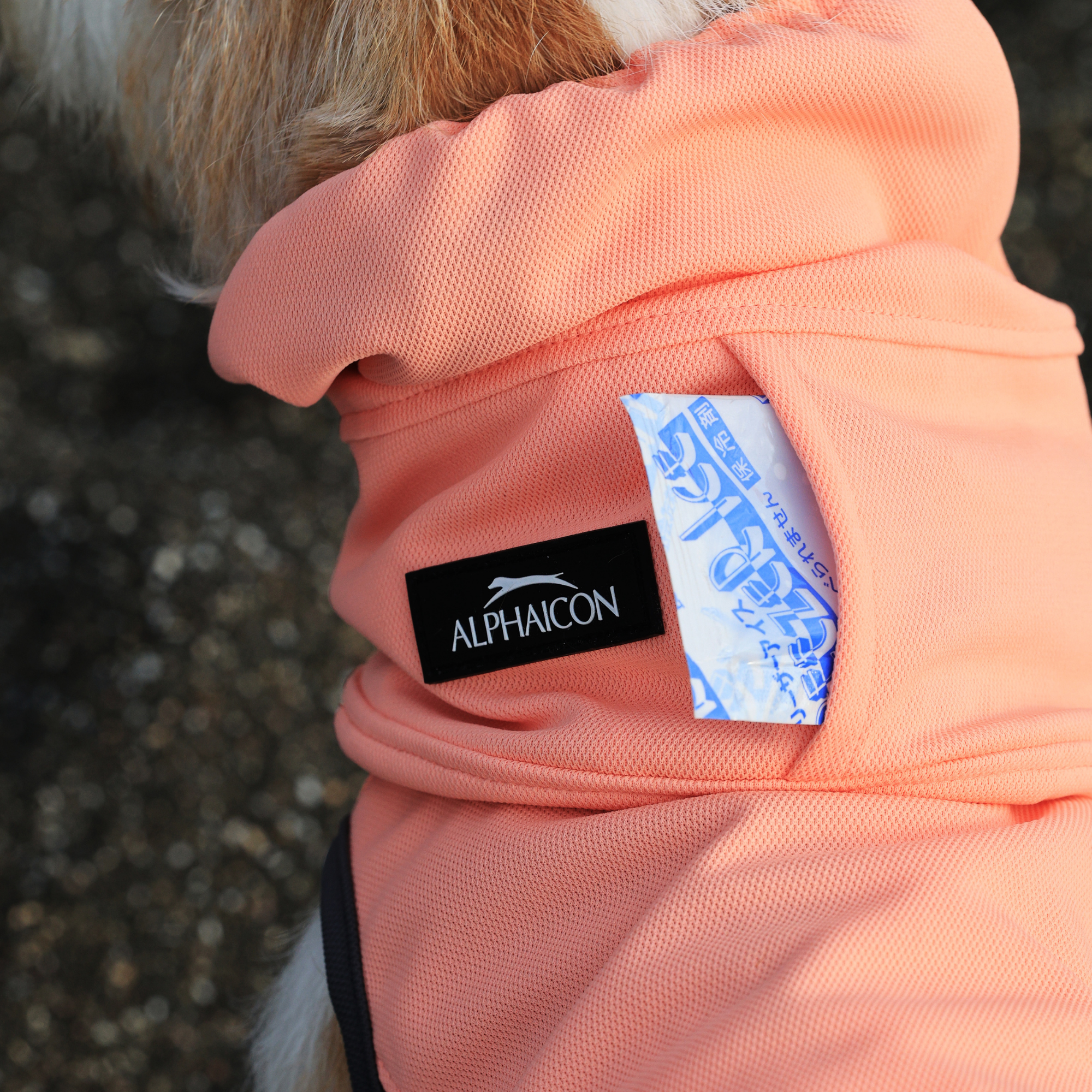 COOL SNOOD クールスヌード MACARON