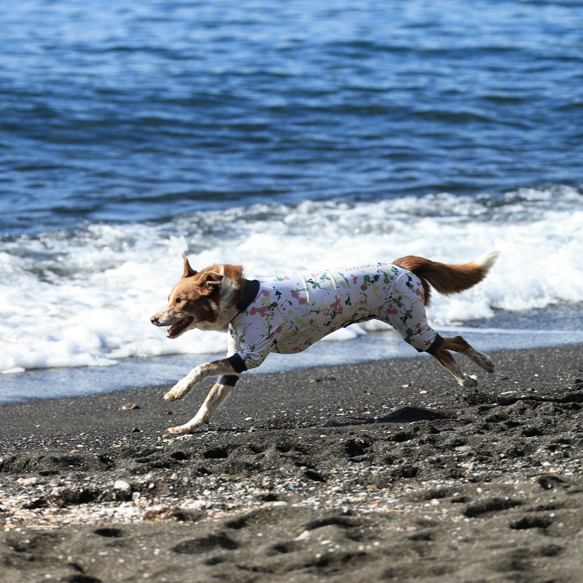 FULL DOG GUARD フルドッグガード VINTAGE MIST