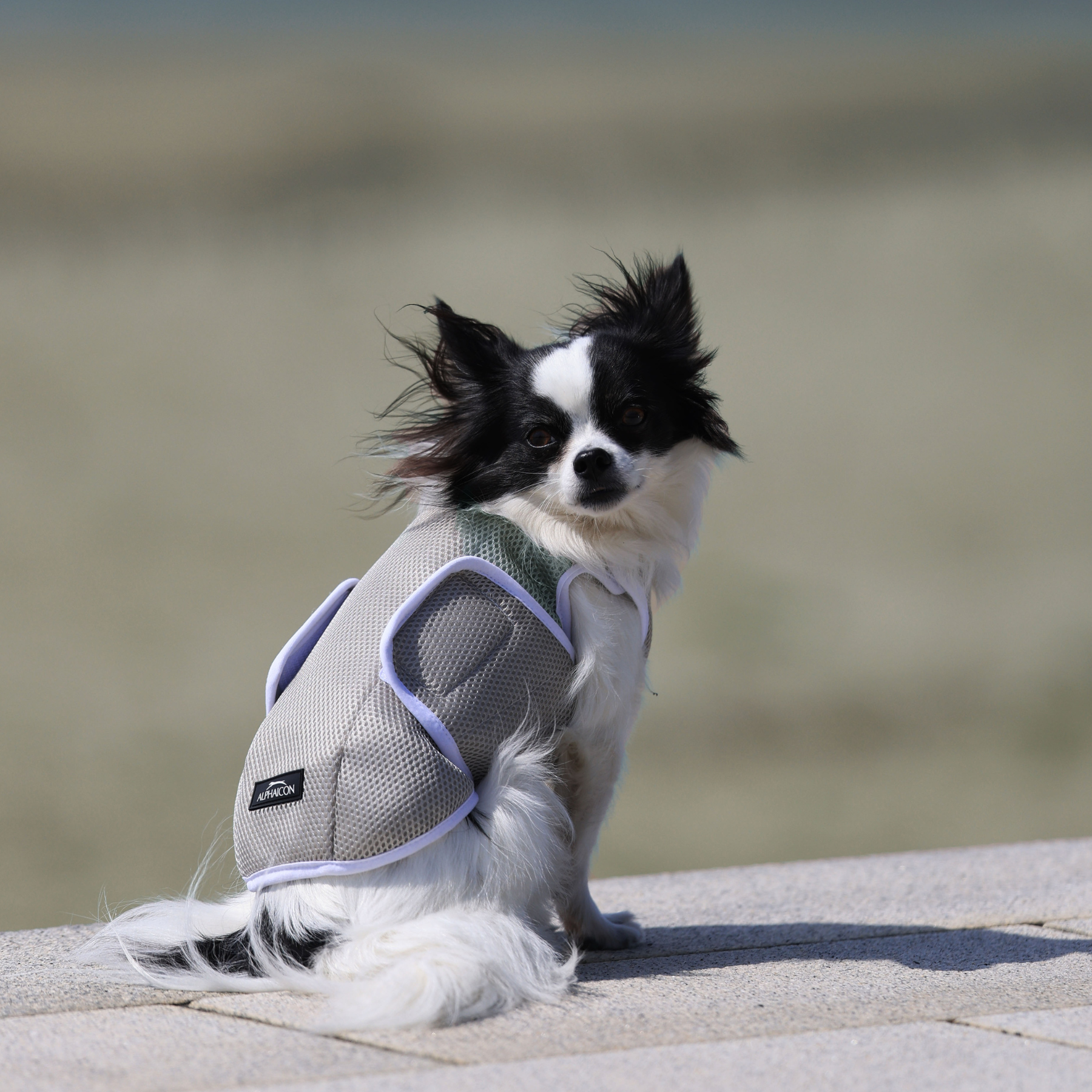 SUPER COOLING VEST スーパークーリングベスト 2024年モデル POLAR SILVER