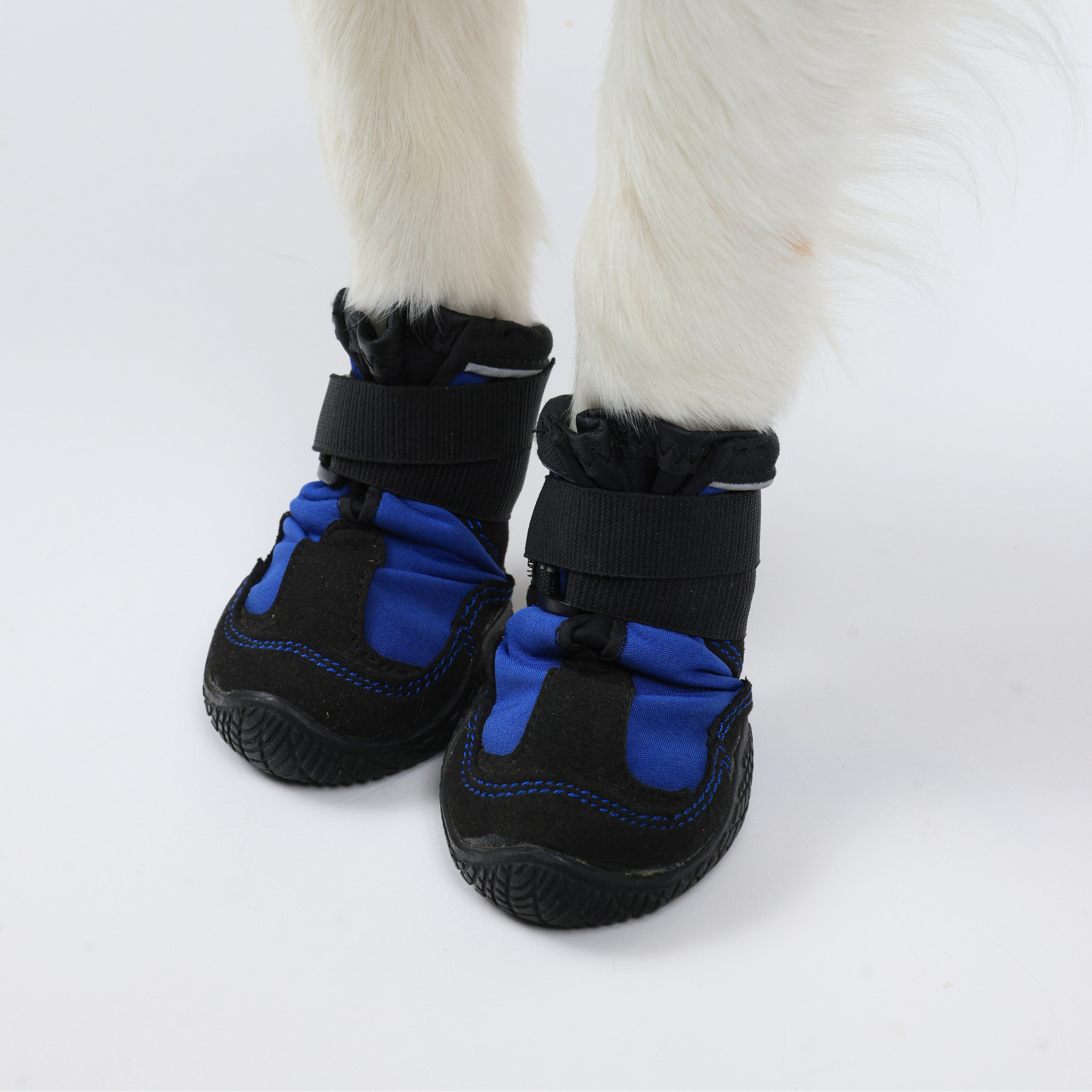 Snow Mushers スノーマッシャーズ ブルー
