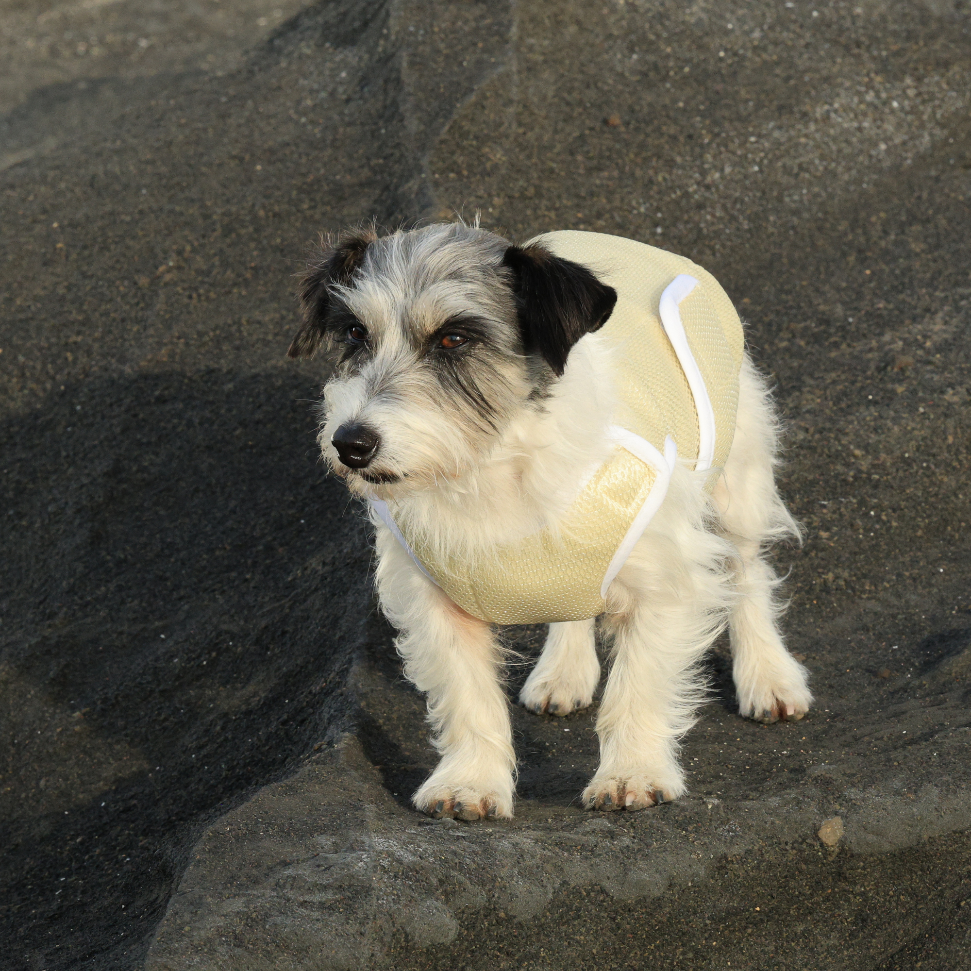 SUPER COOLING VEST スーパークーリングベスト DESERT