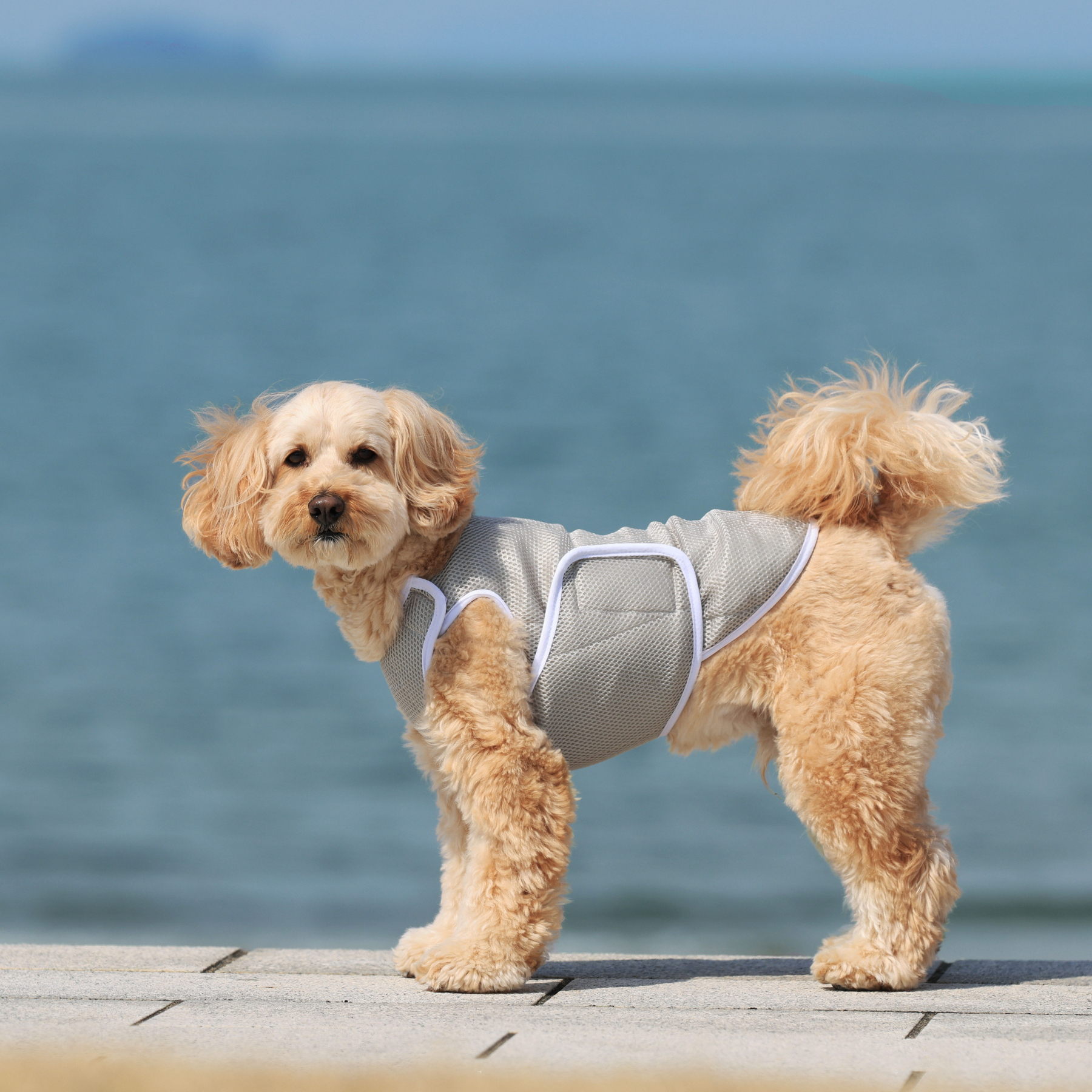 SUPER COOLING VEST スーパークーリングベスト 2024年モデル POLAR SILVER