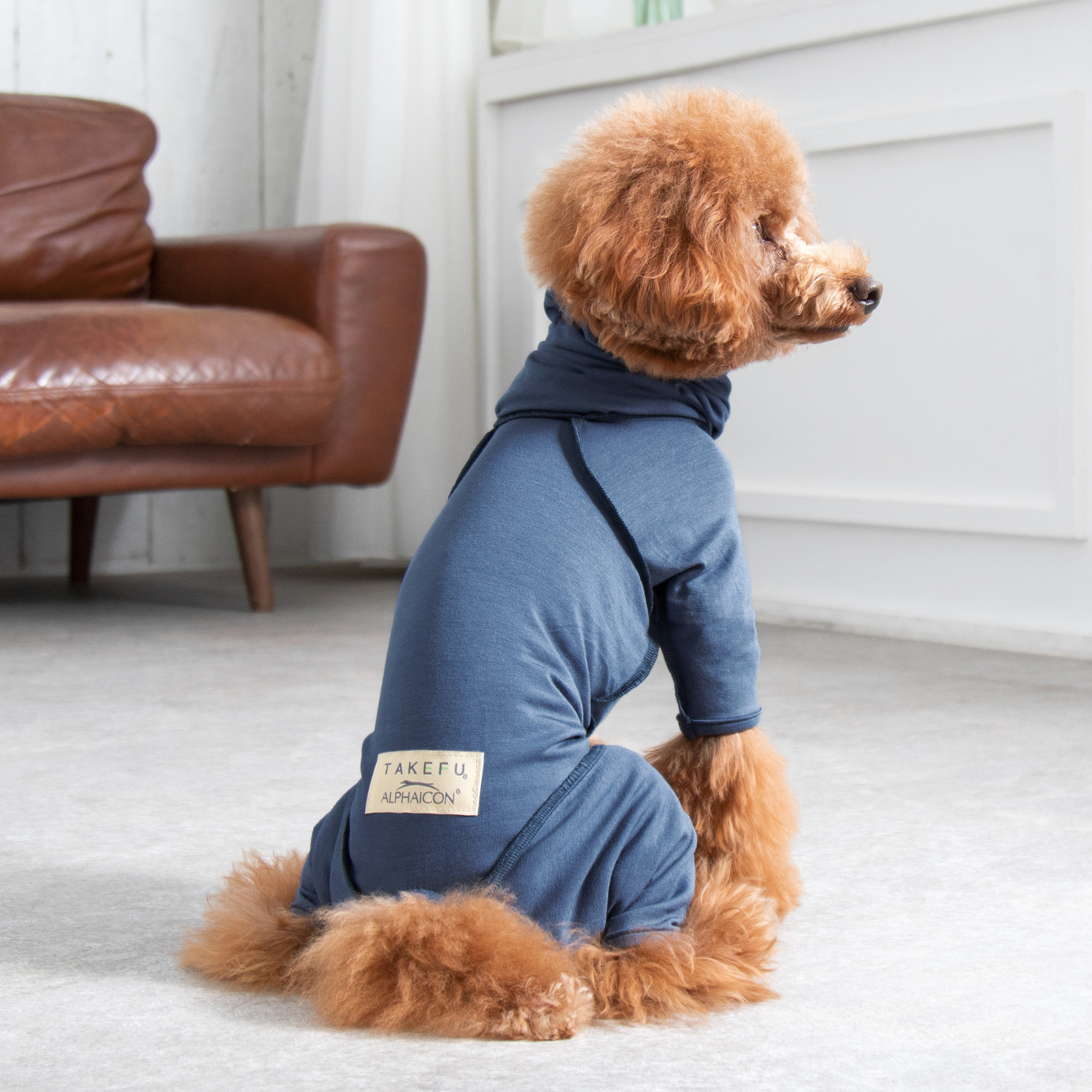 TAKEFU DOGWEAR タケフドッグウェア ブルー